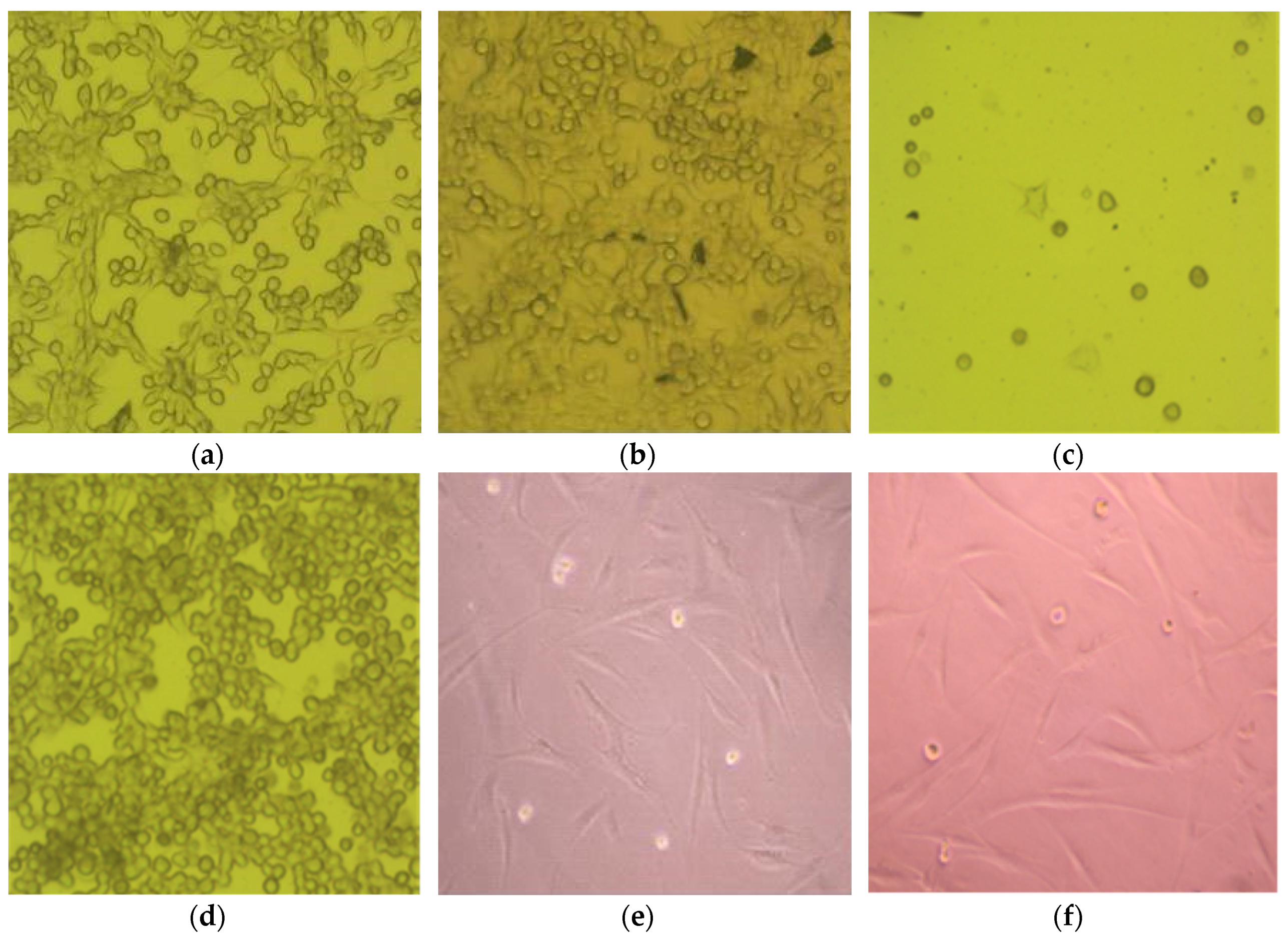 Coatings 06 00009 g003 1024
