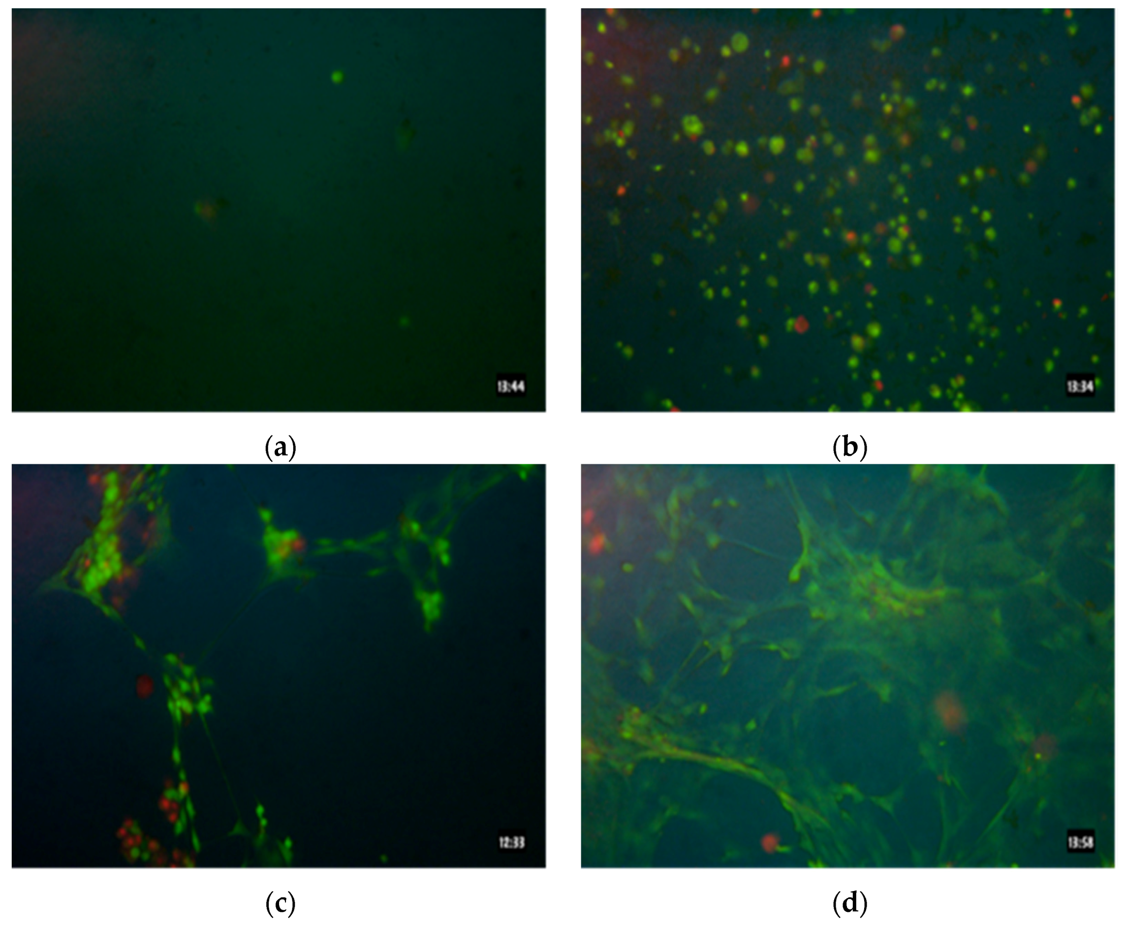 Coatings 06 00009 g004 1024