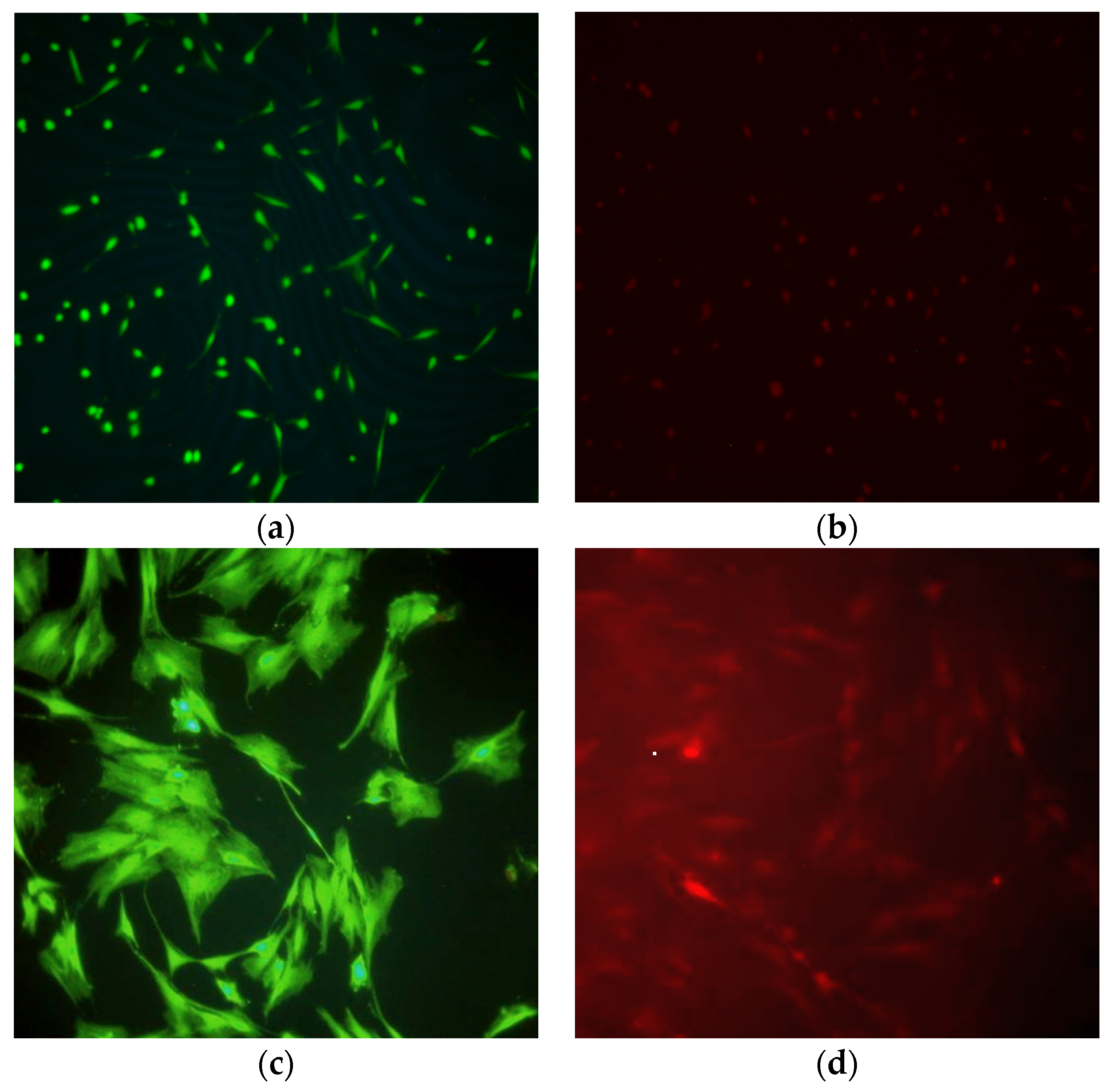 Coatings 06 00009 g005 1024