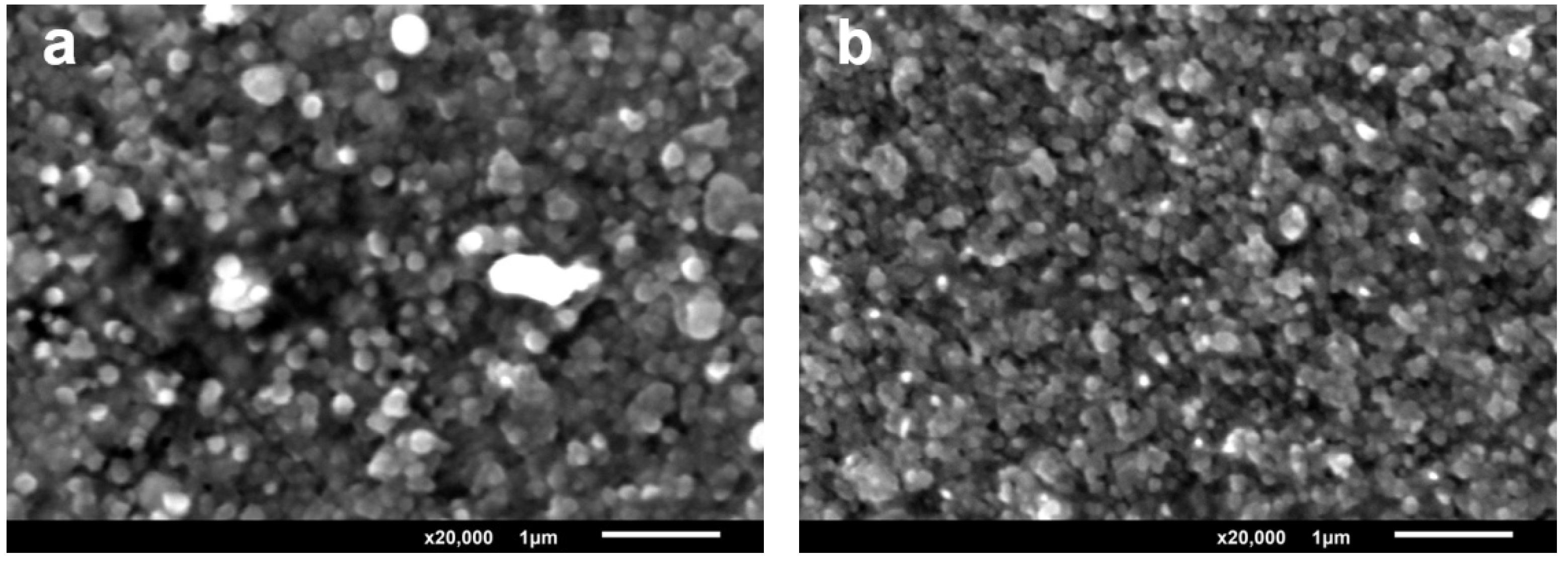 Coatings 06 00014 g002 1024