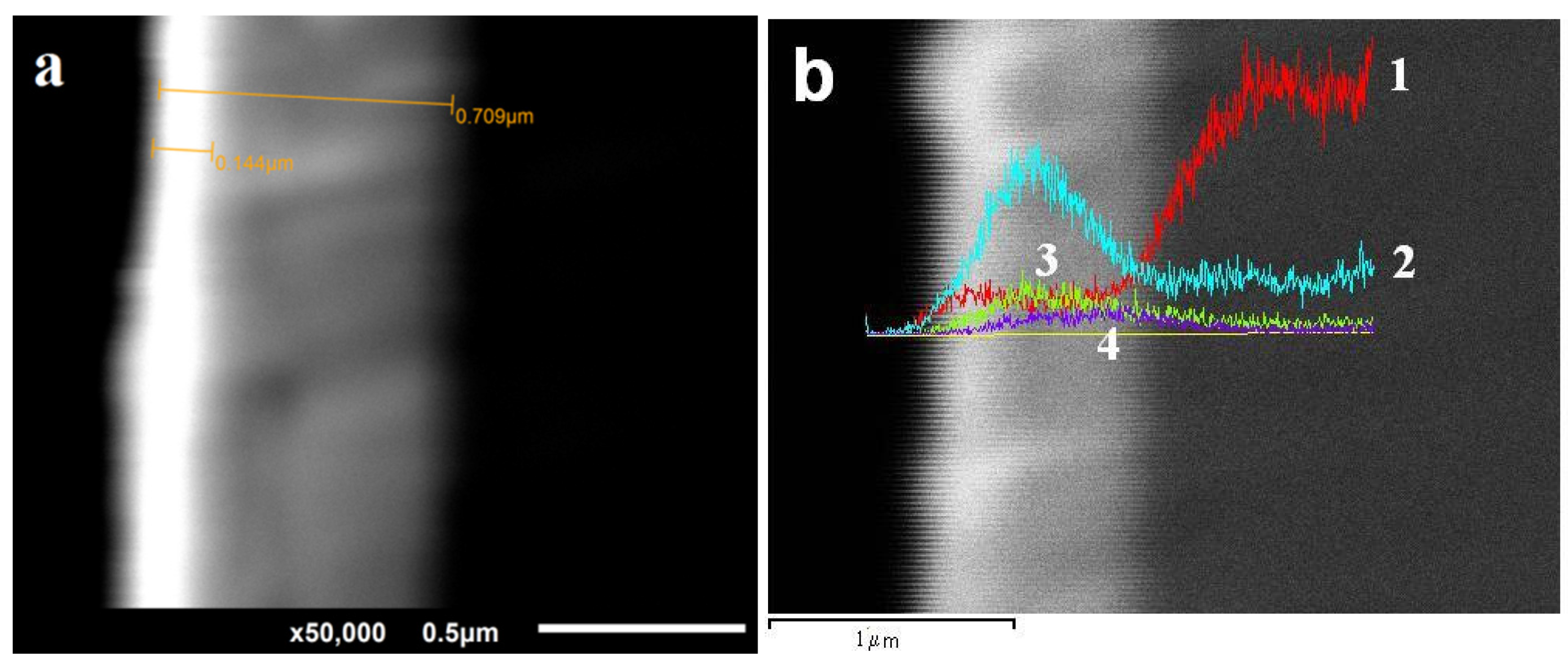 Coatings 06 00014 g003 1024