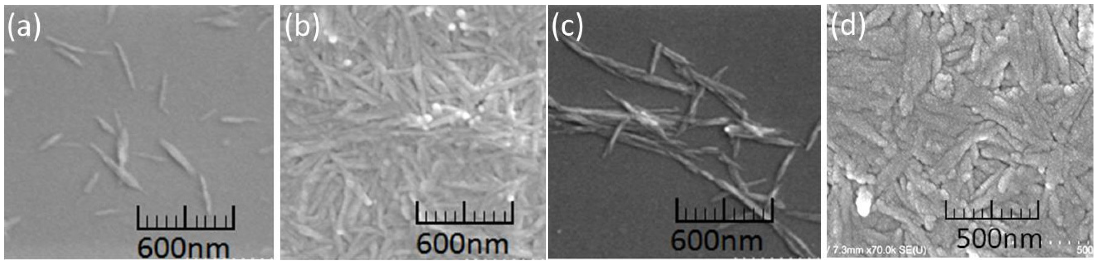 Coatings 06 00027 g006