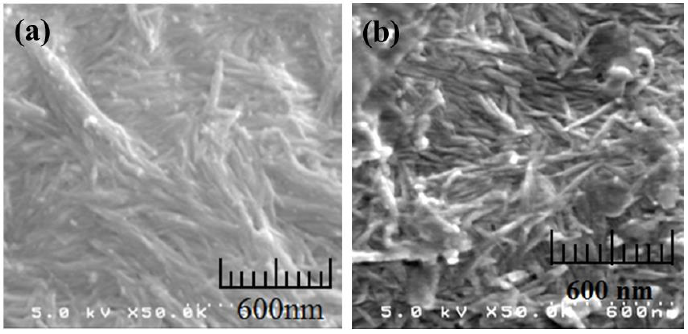 Coatings 06 00027 g009