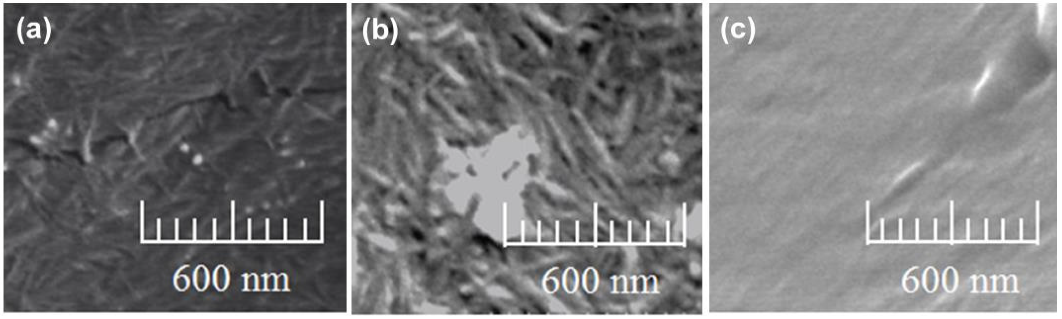 Coatings 06 00027 g013