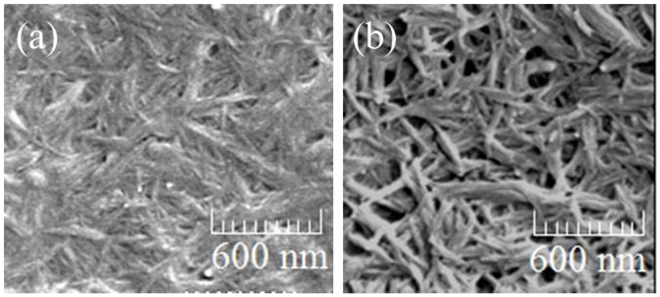 Coatings 06 00027 g014