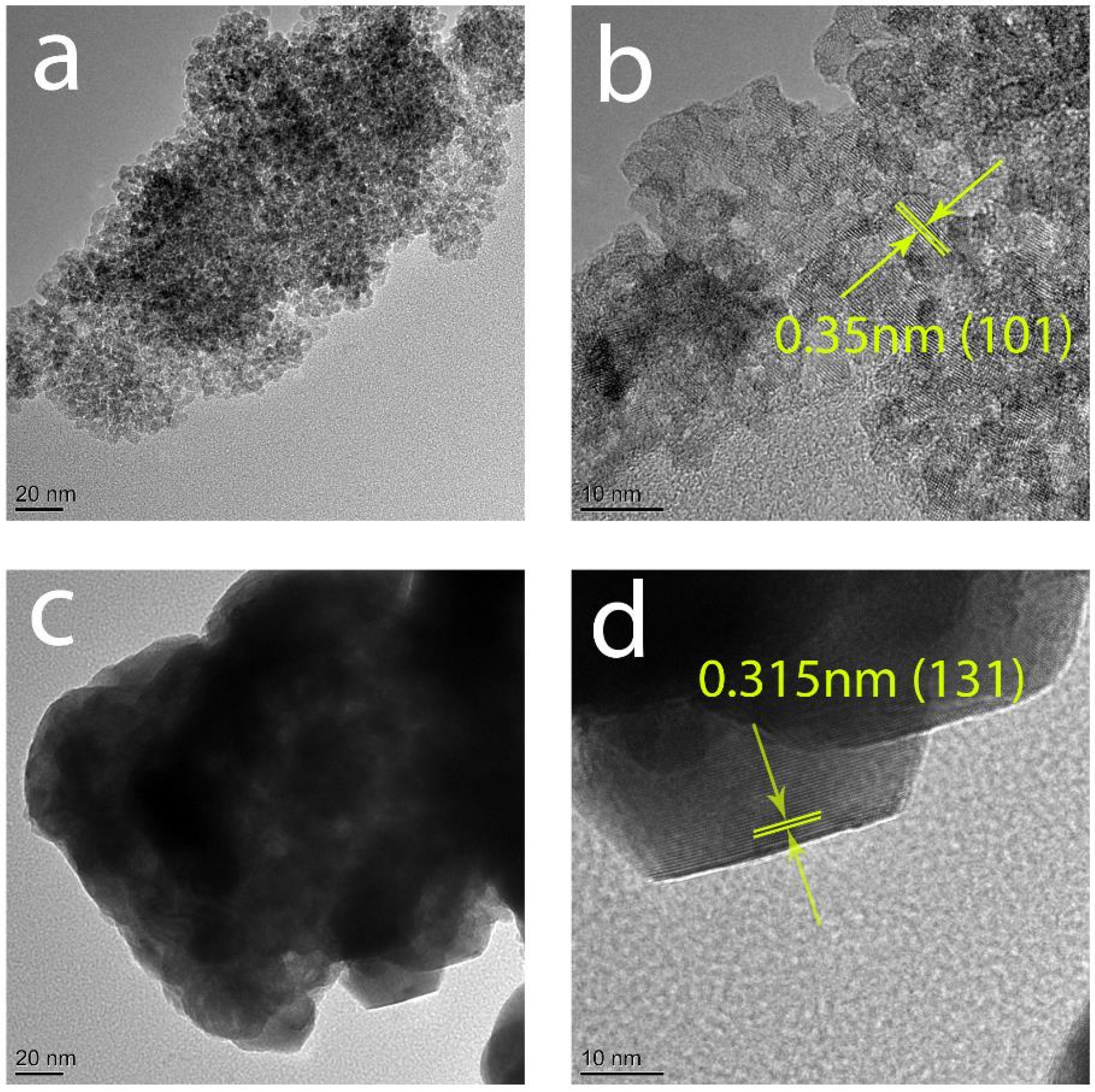 Coatings 06 00029 g005 1024