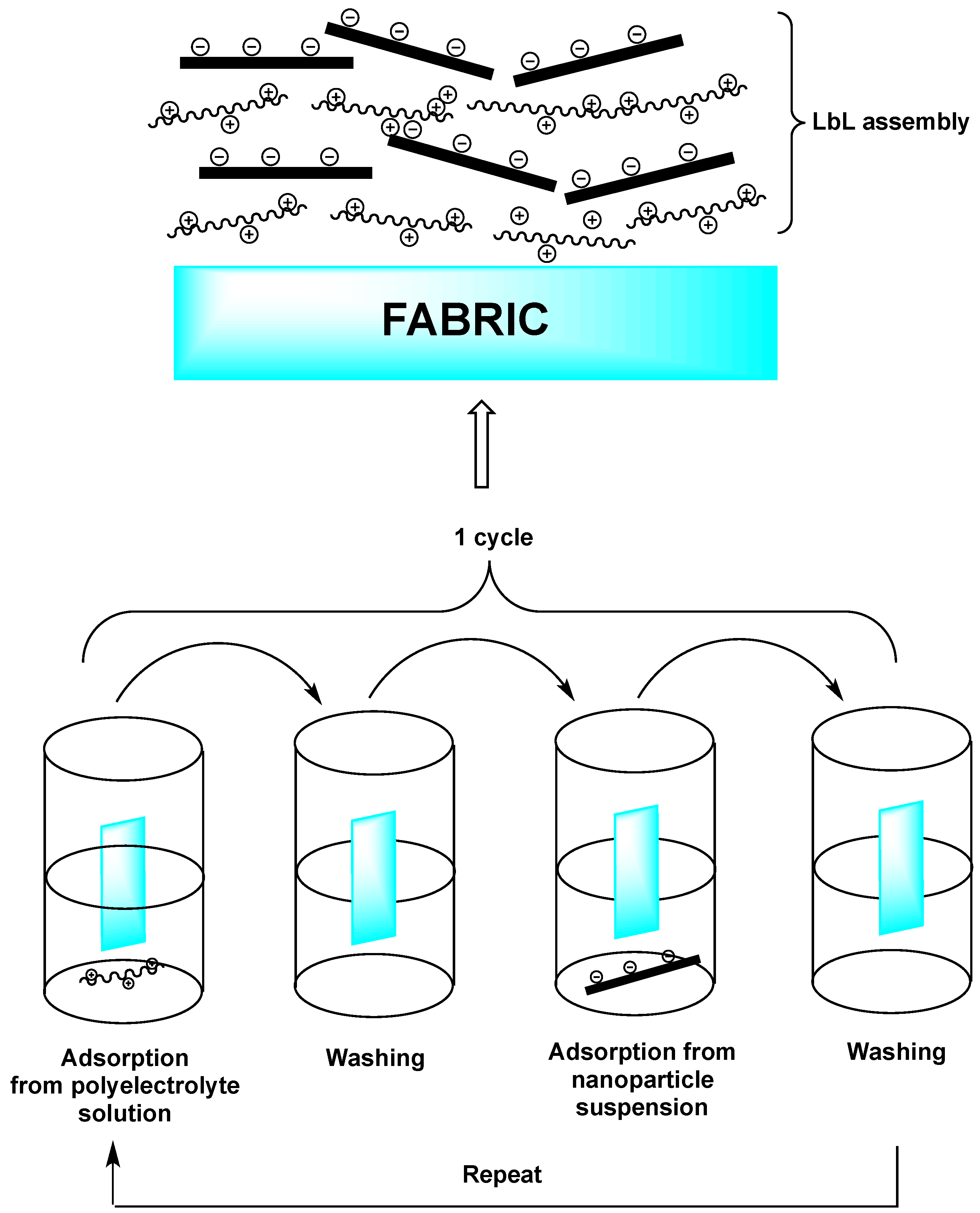 Coatings 06 00033 g004