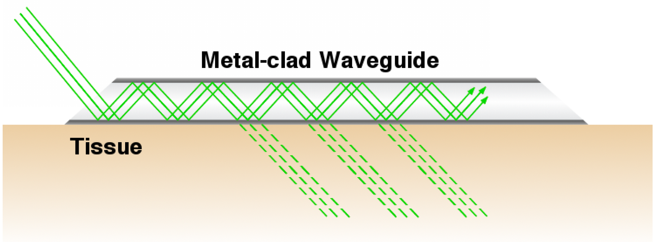 Coatings 06 00035 g001 1024