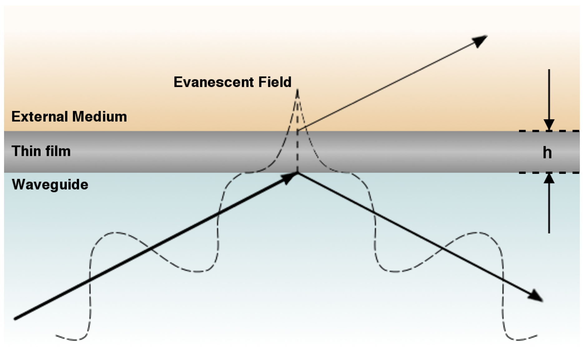 Coatings 06 00035 g002 1024