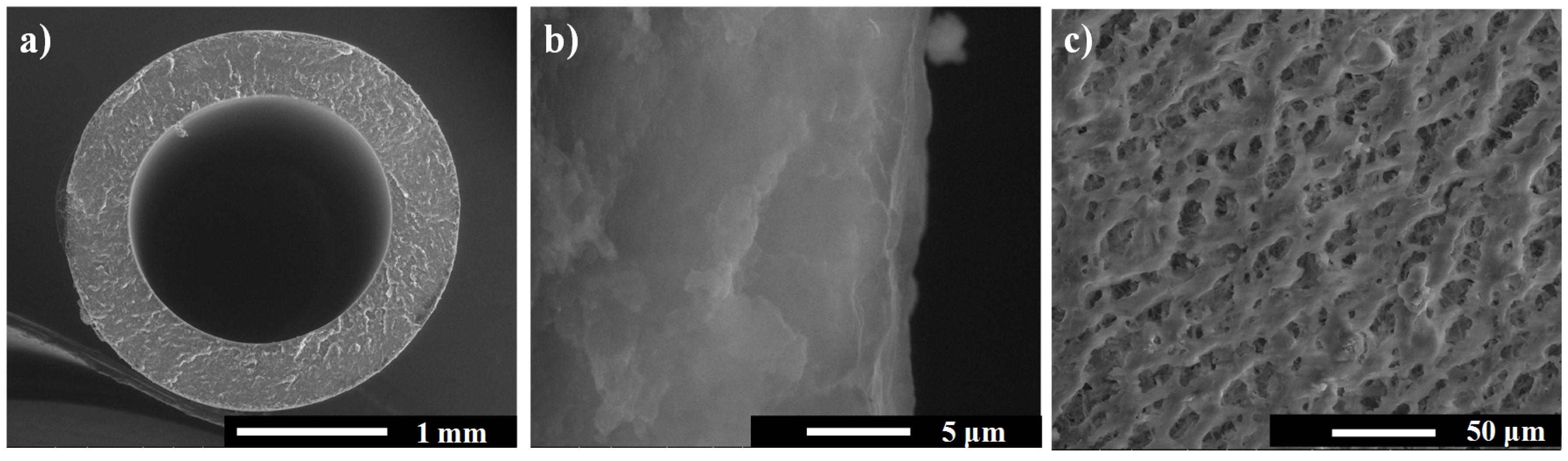 Coatings 06 00040 g003 1024