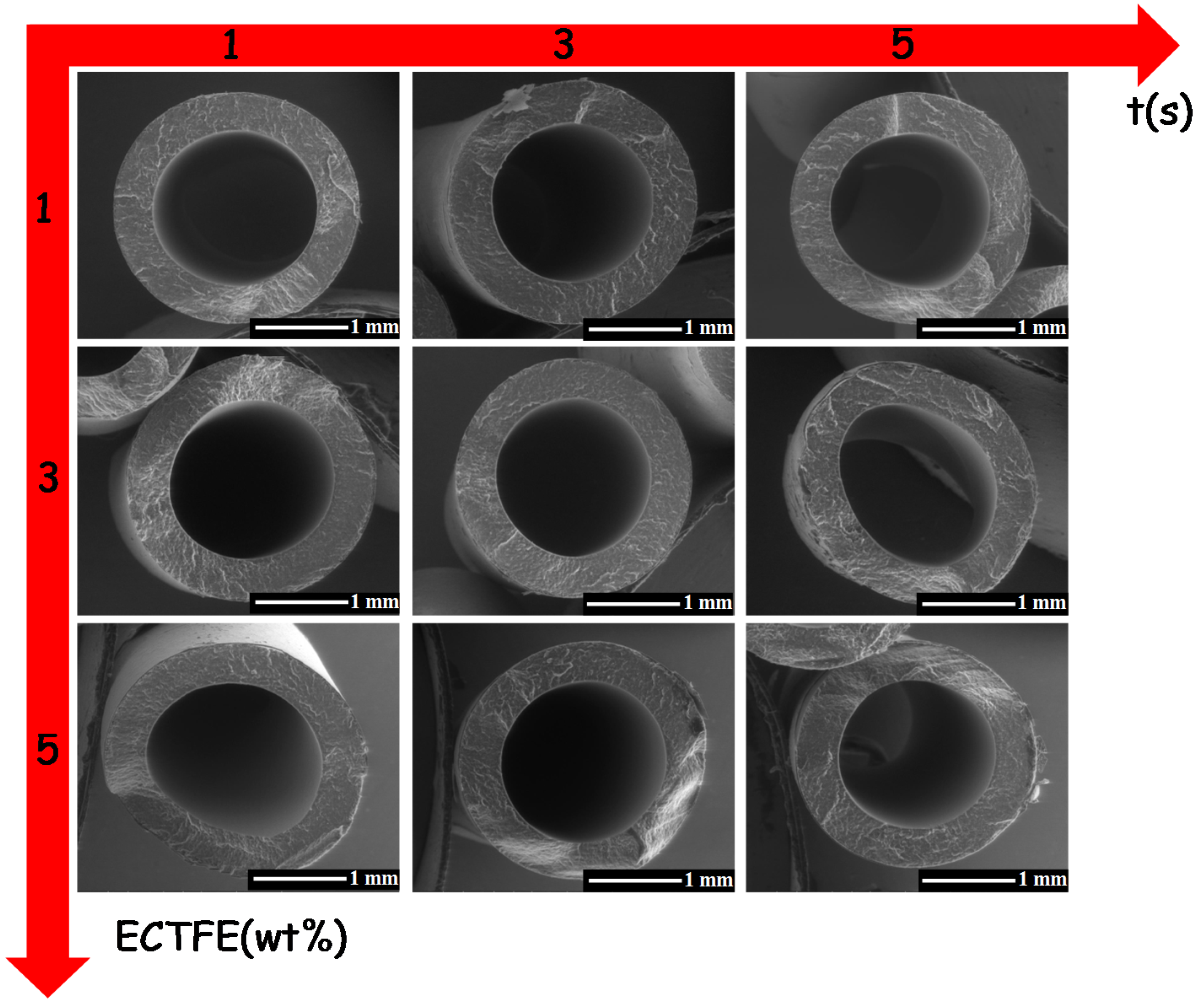 Coatings 06 00040 g004 1024