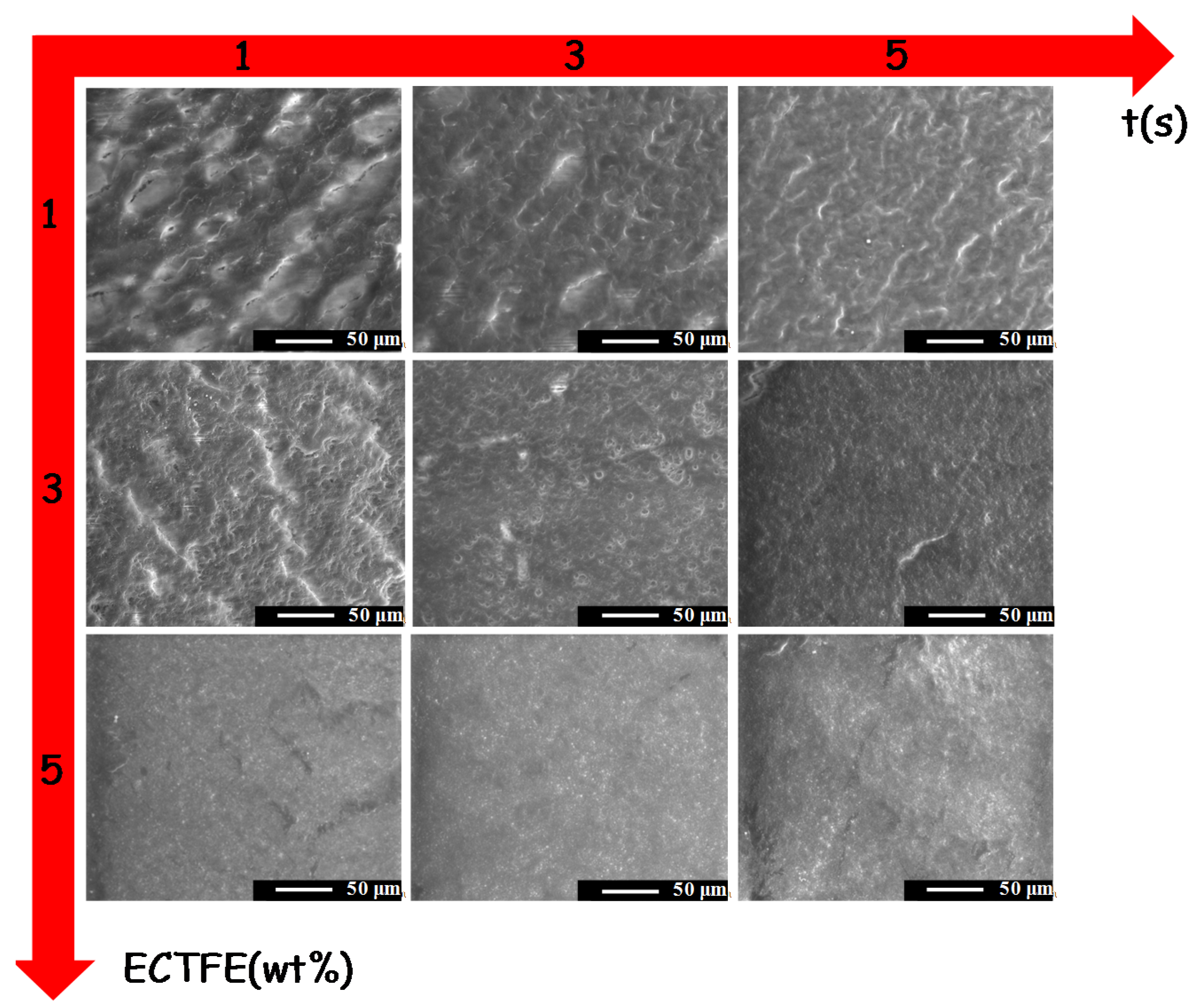 Coatings 06 00040 g007 1024