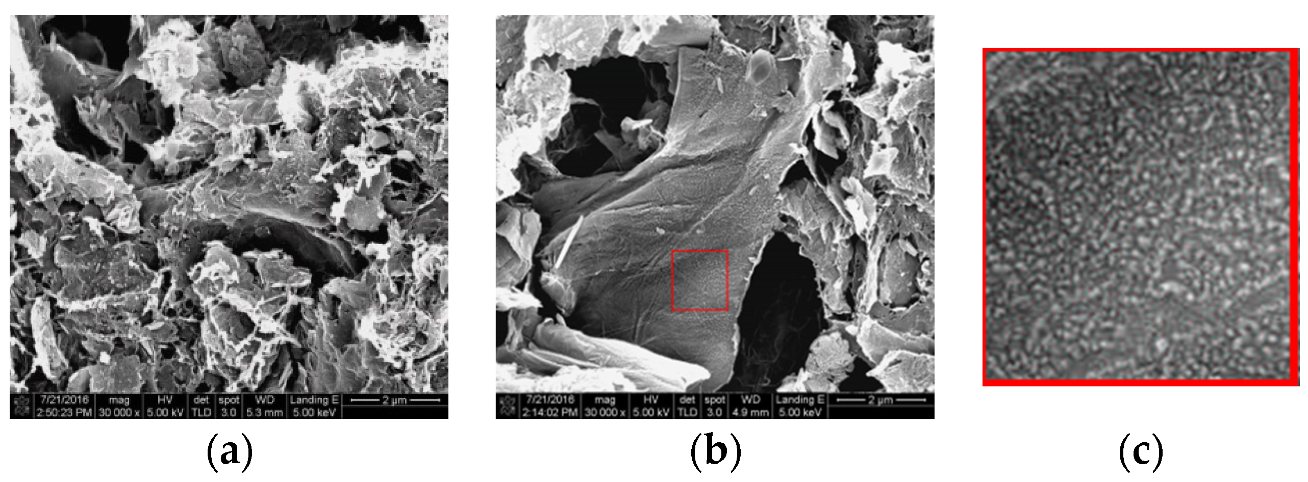 Coatings 06 00044 g004a 550