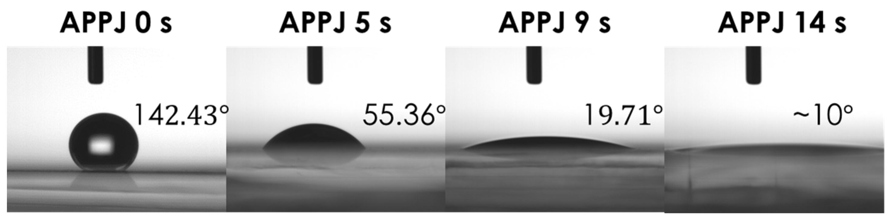 Coatings 06 00044 g005 550