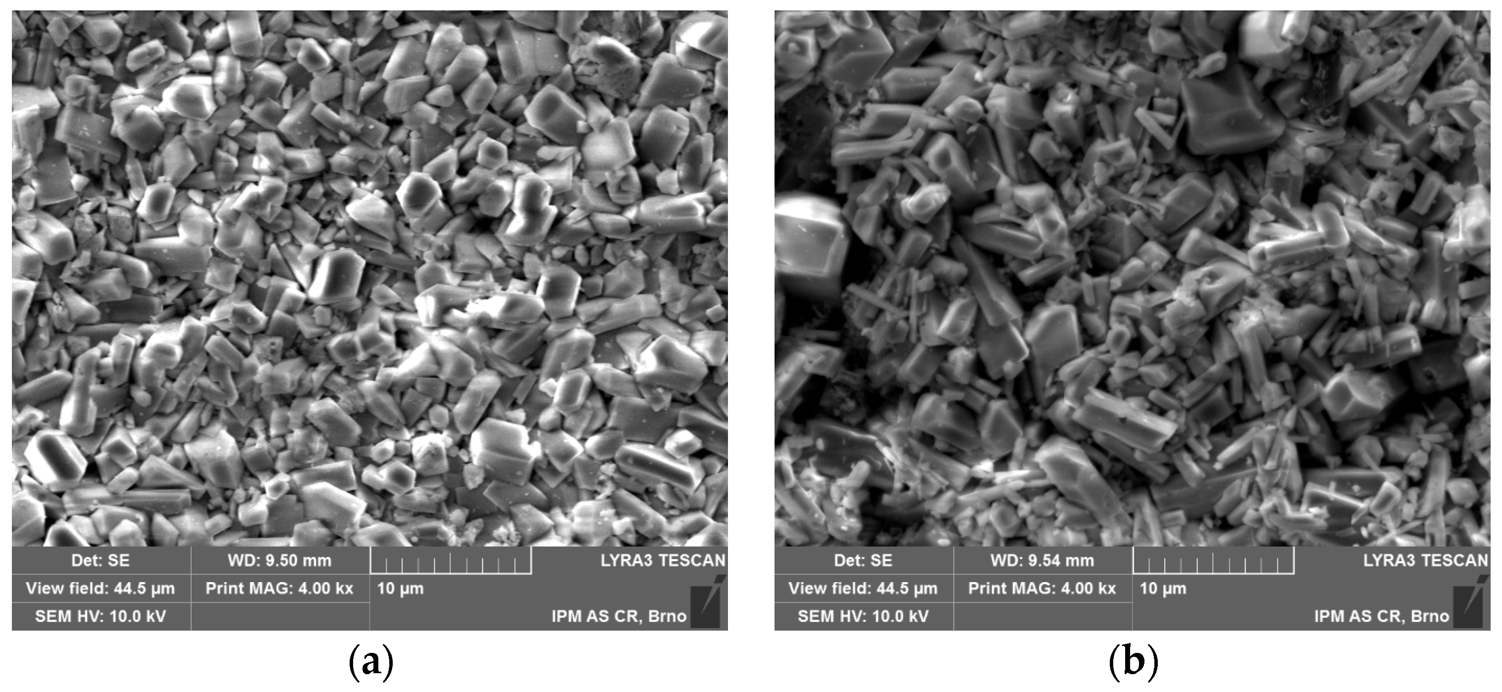 Coatings 06 00046 g003