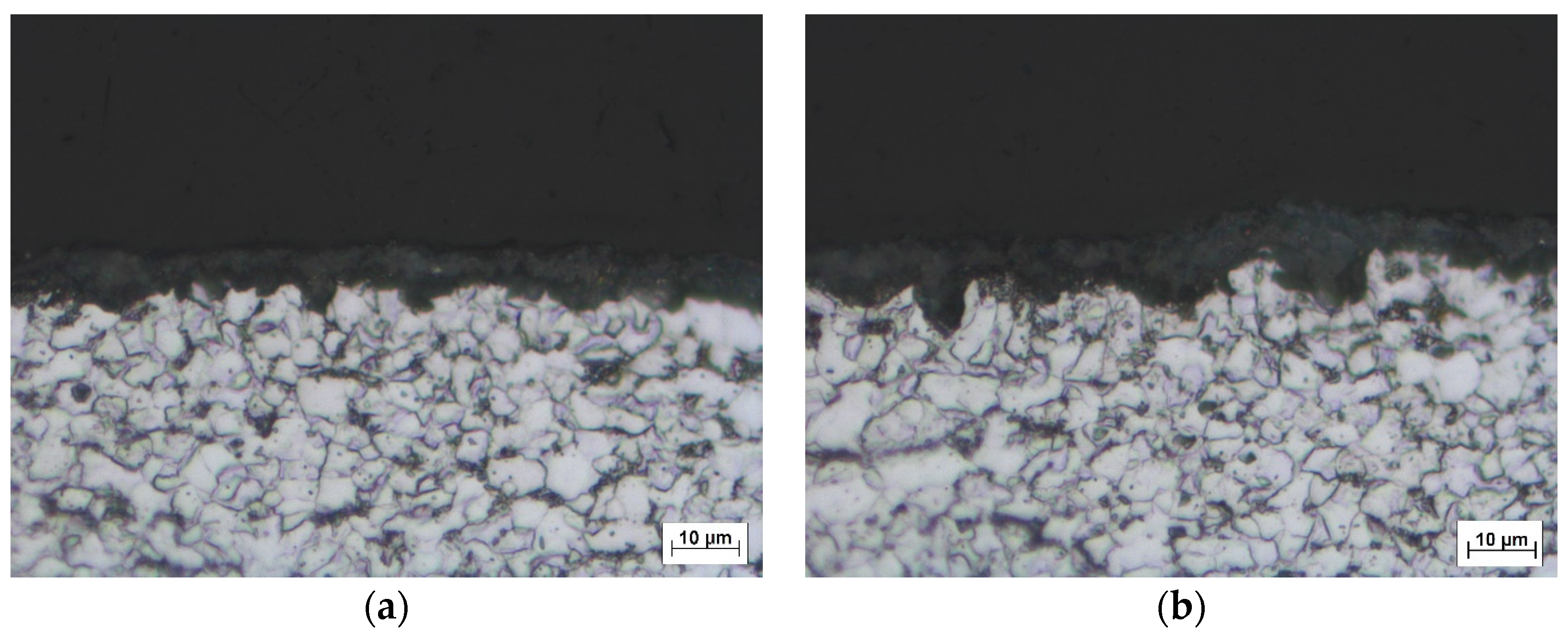 Coatings 06 00046 g004