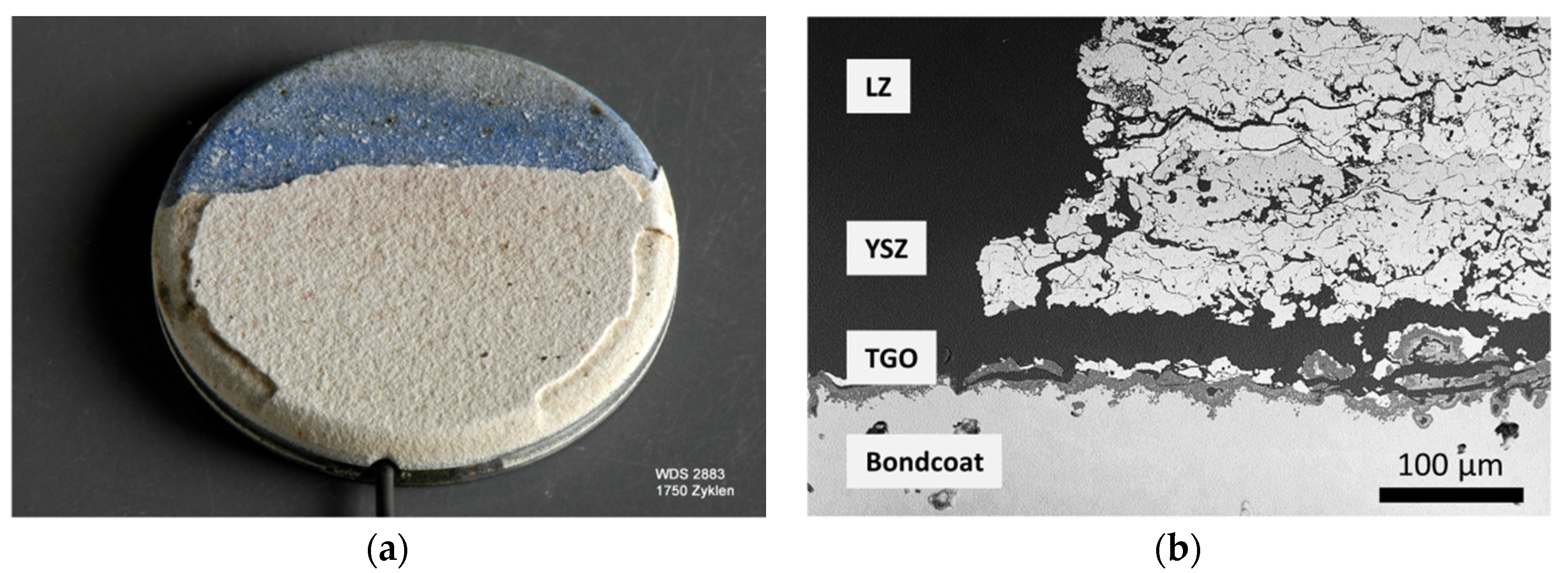 Coatings 06 00049 g010 550