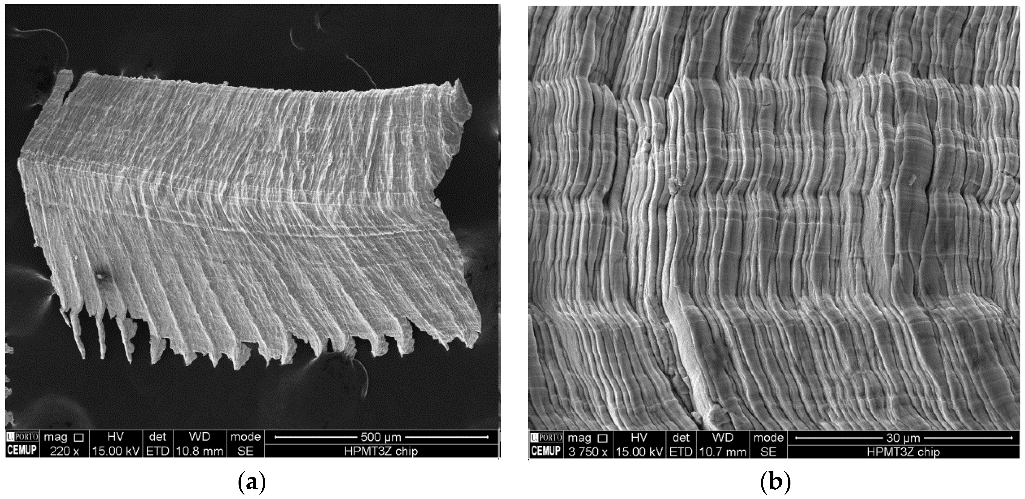 Coatings 06 00051 g008 550