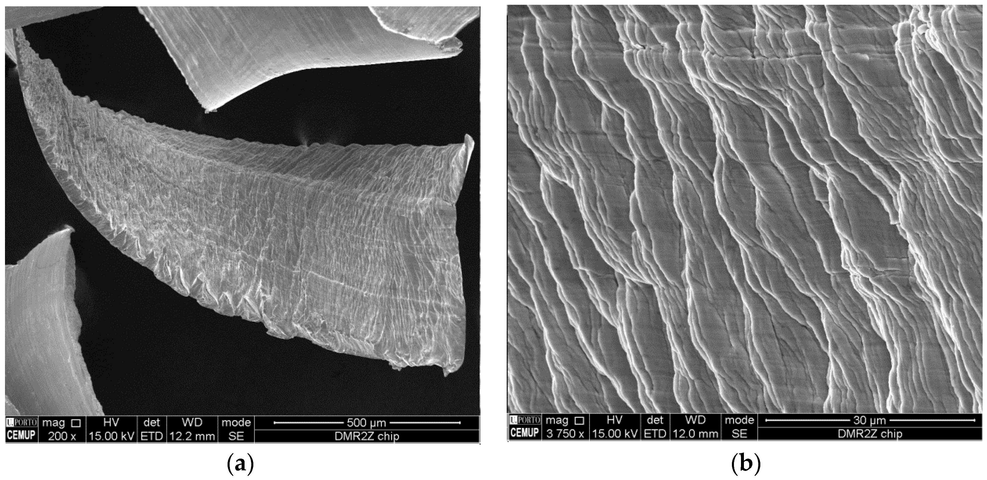 Coatings 06 00051 g009 550