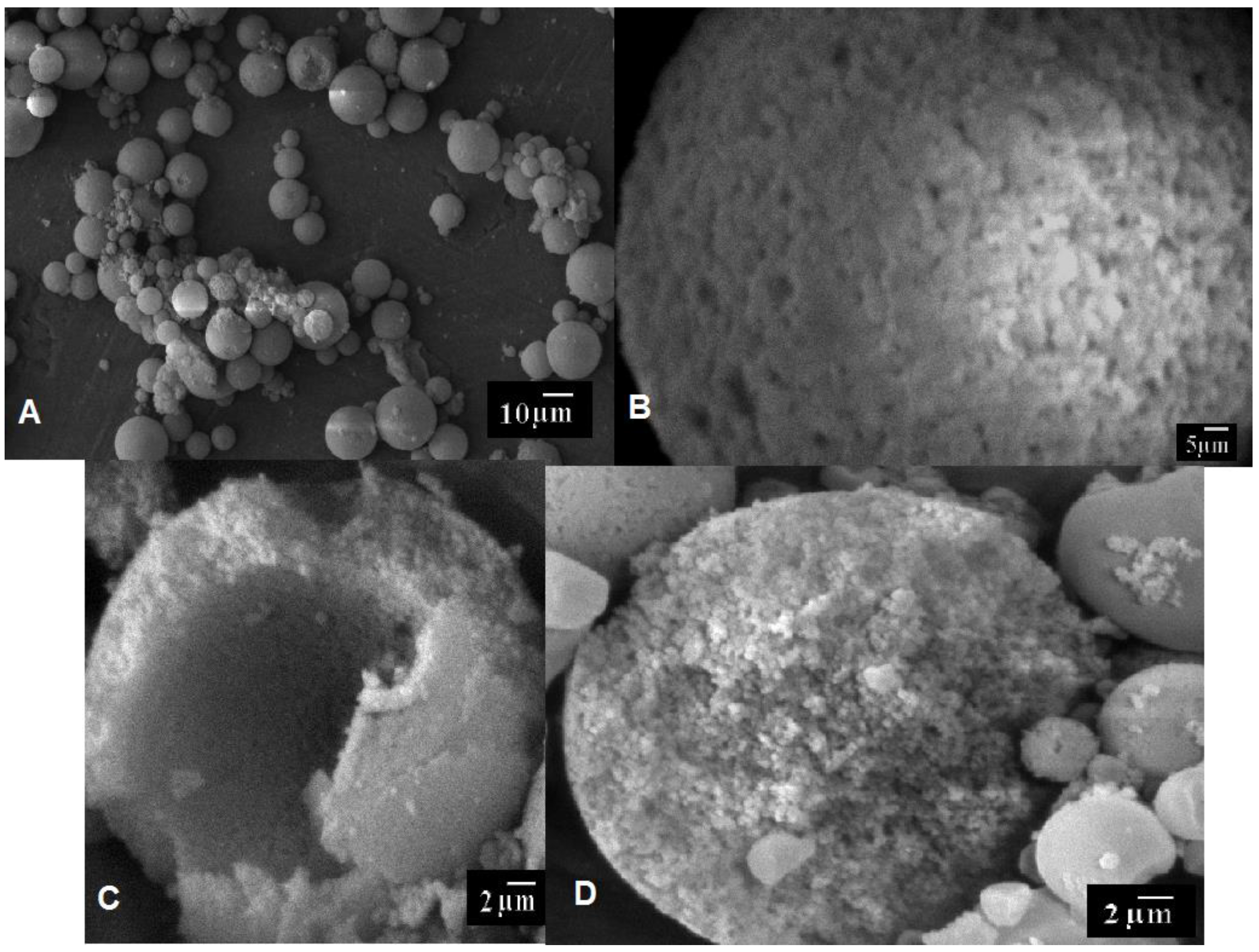 Coatings 06 00052 g008