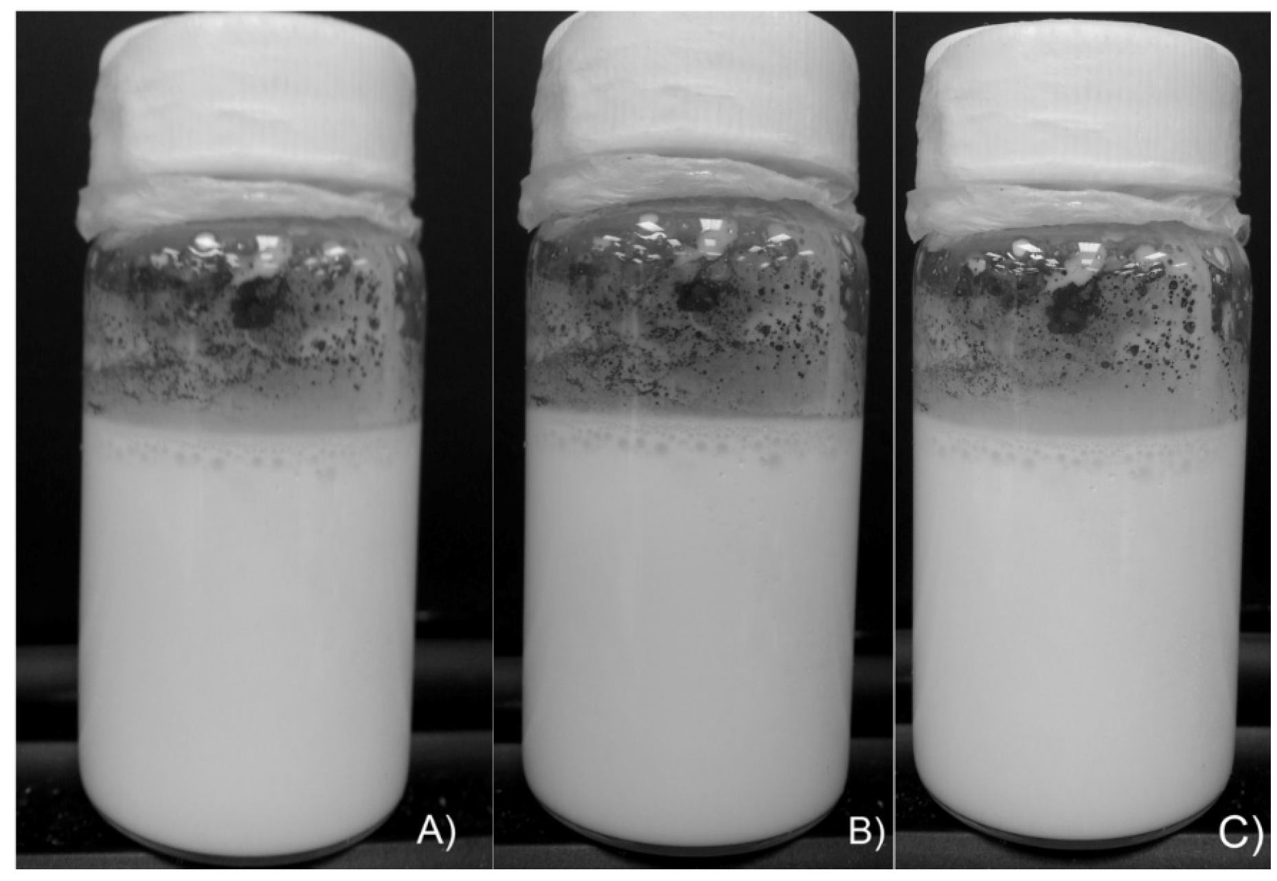 Coatings 06 00056 g004 550