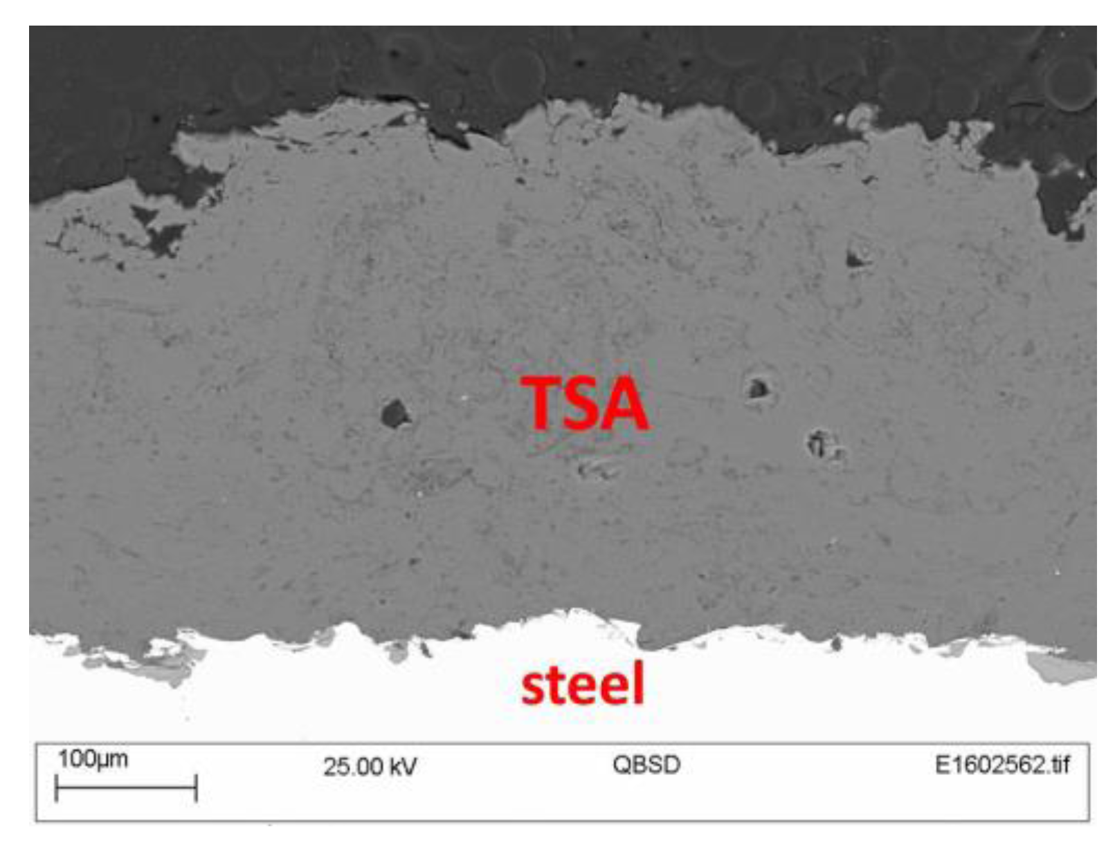 Coatings 06 00058 g003 550