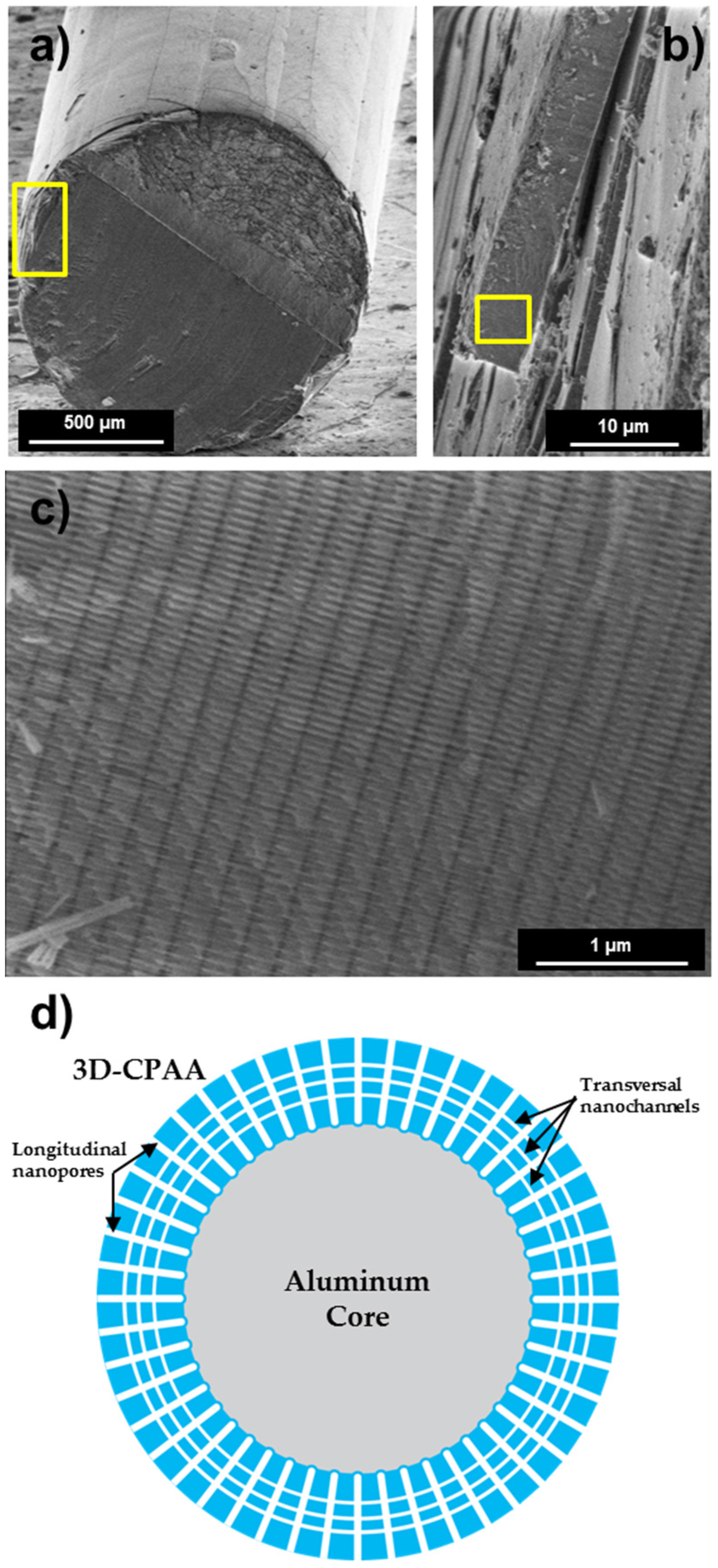 Coatings 06 00059 g003 550