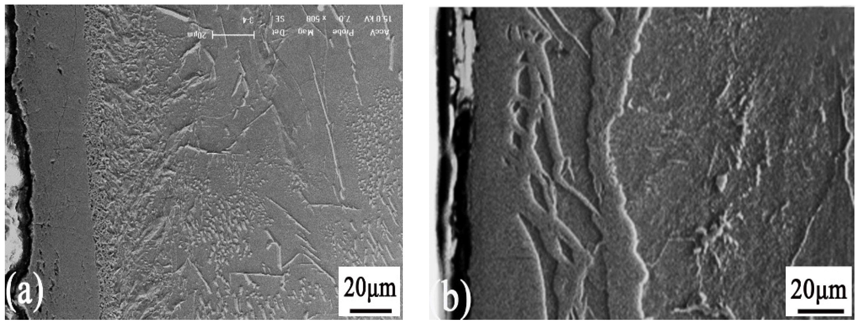 Coatings 06 00063 g003
