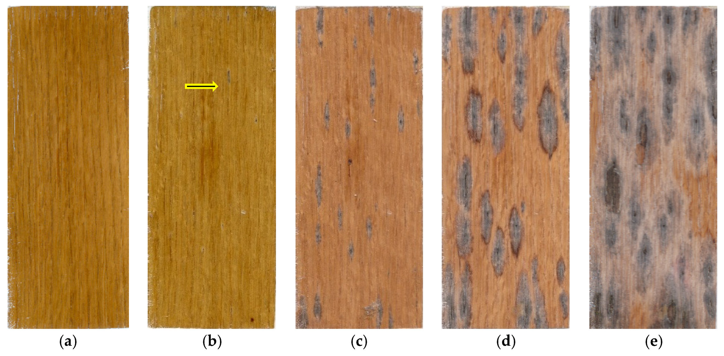 Coatings 06 00066 g012 550