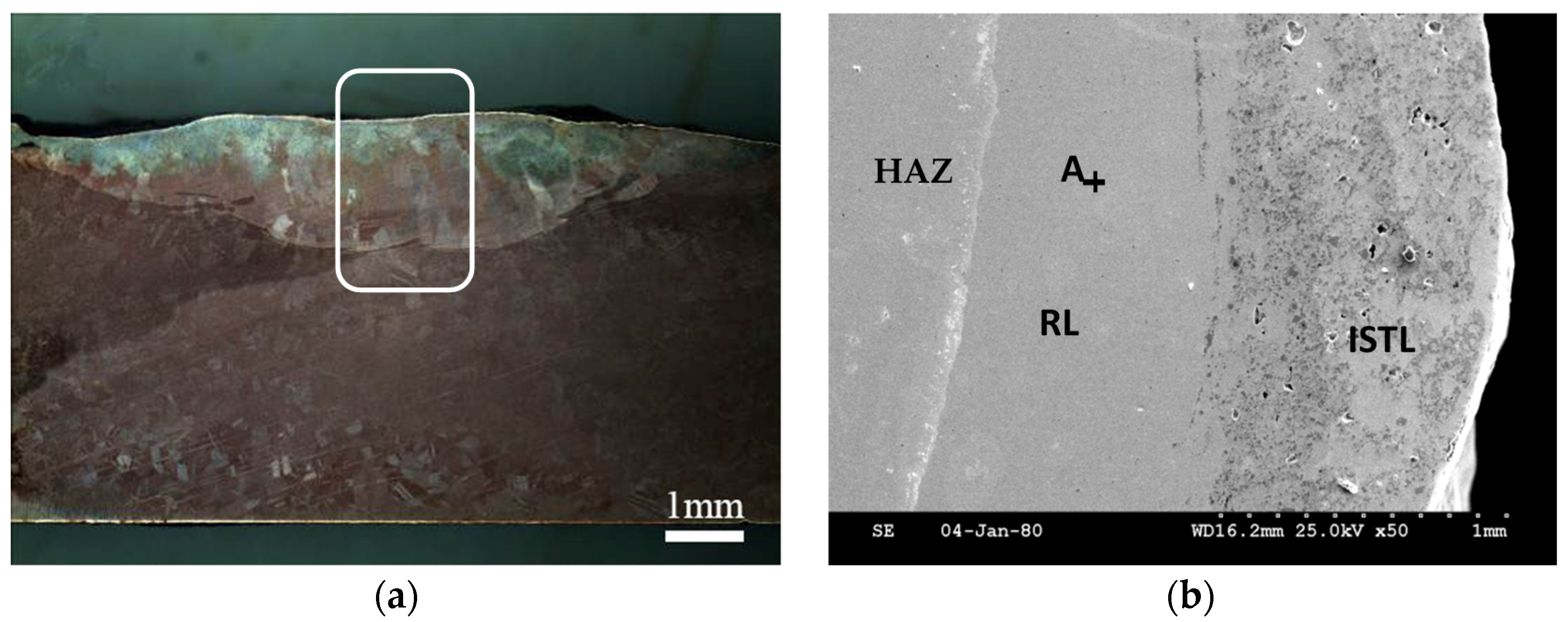 Coatings 06 00067 g002