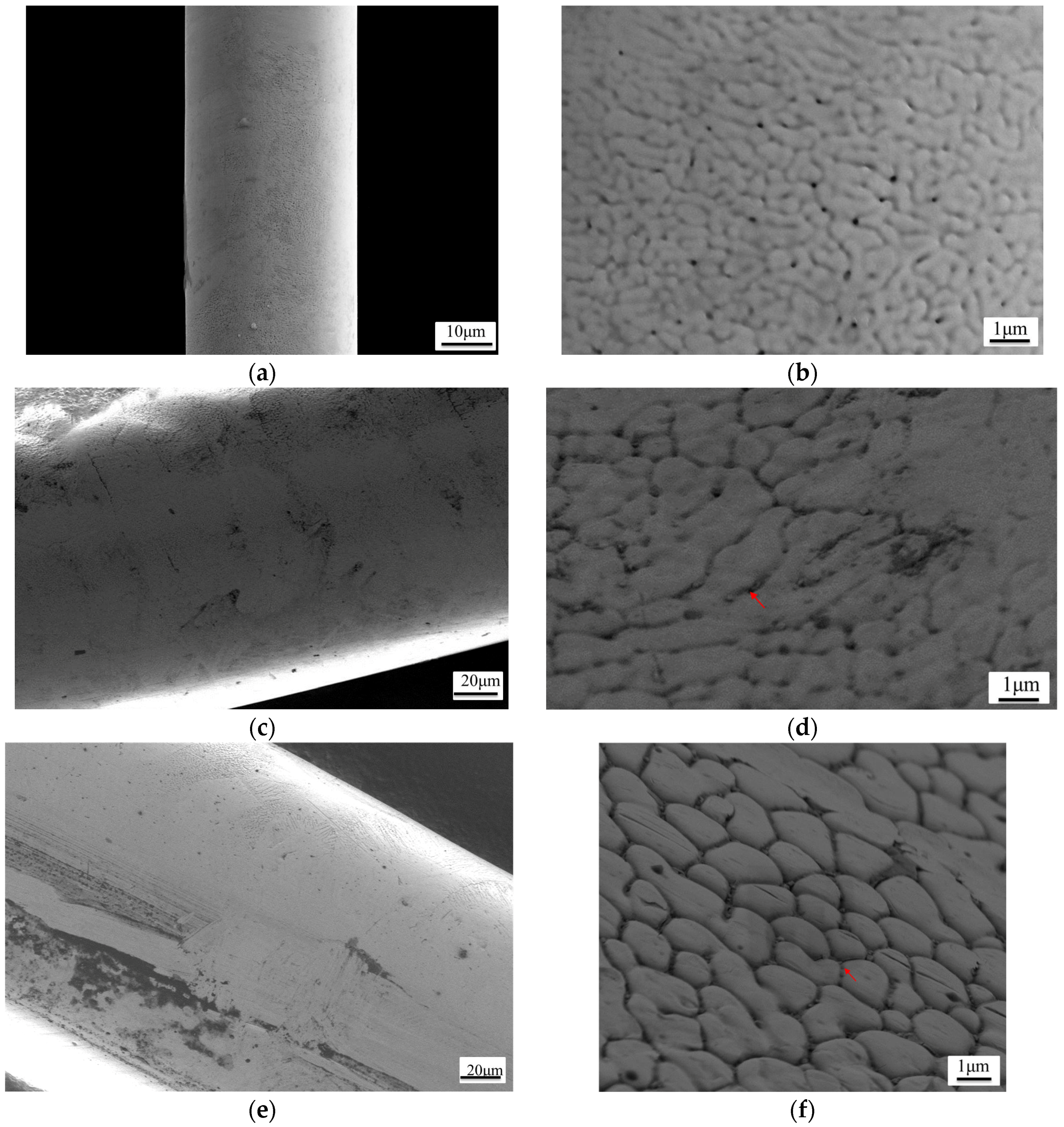 Coatings 07 00005 g003 550