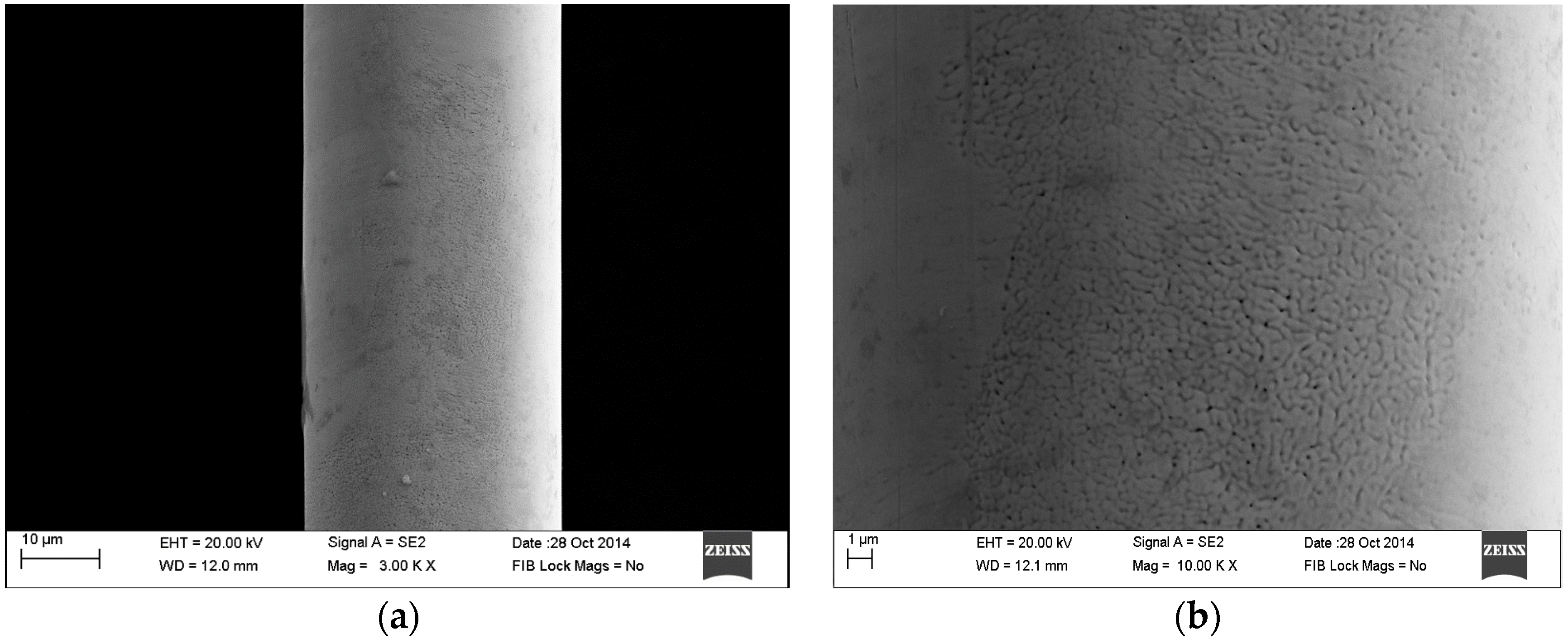 Coatings 07 00005 g004 550