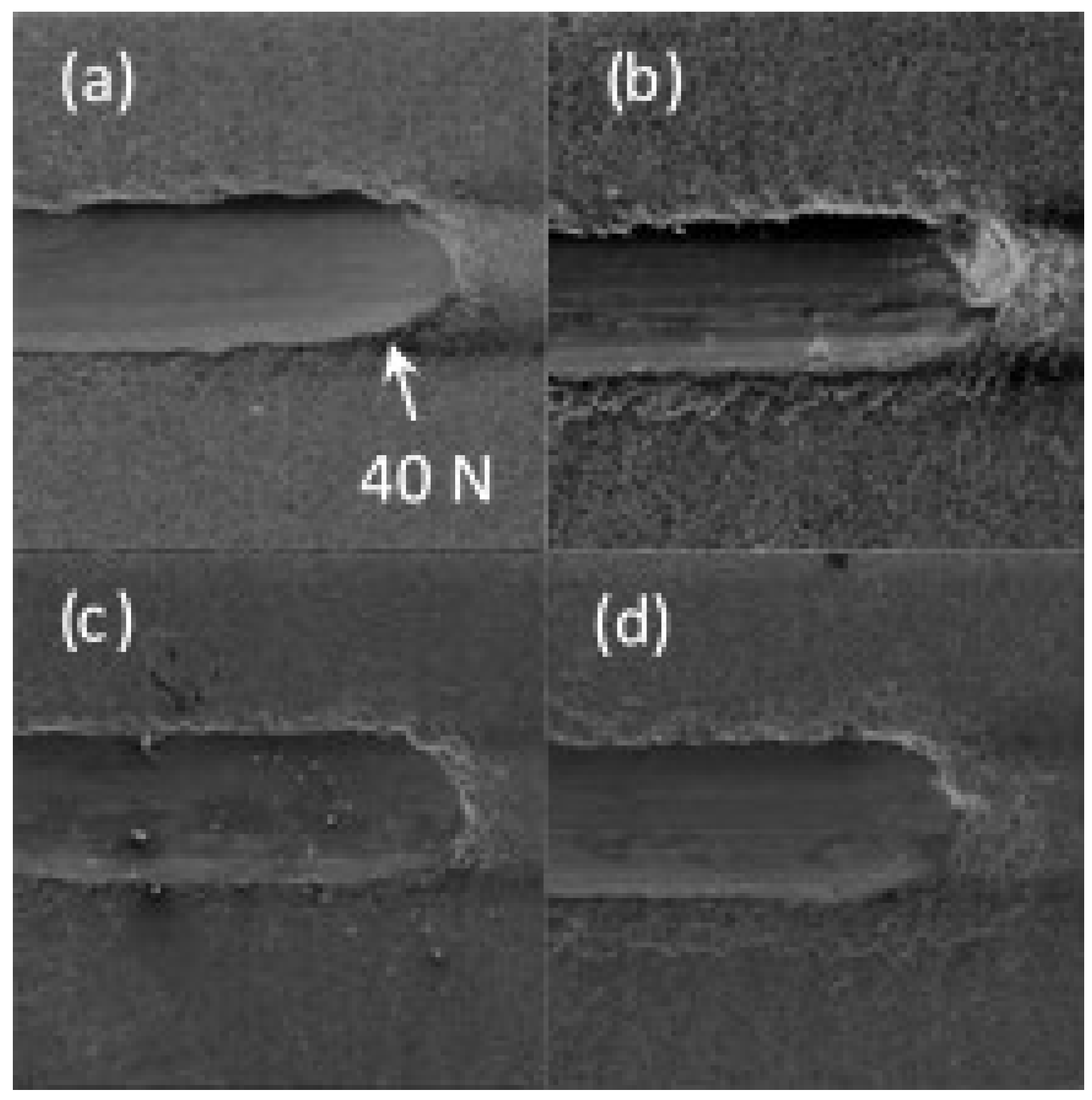 Coatings 07 00010 g007