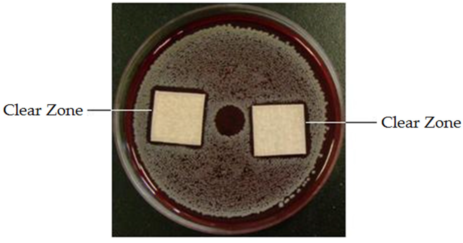 Coatings 07 00011 g003 550