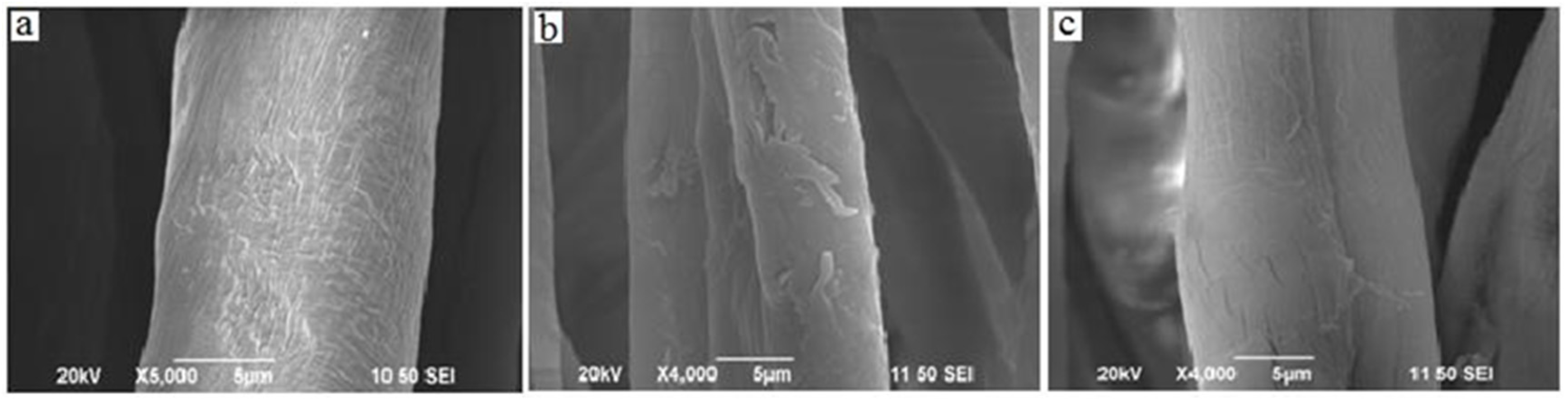 Coatings 07 00011 g008 550