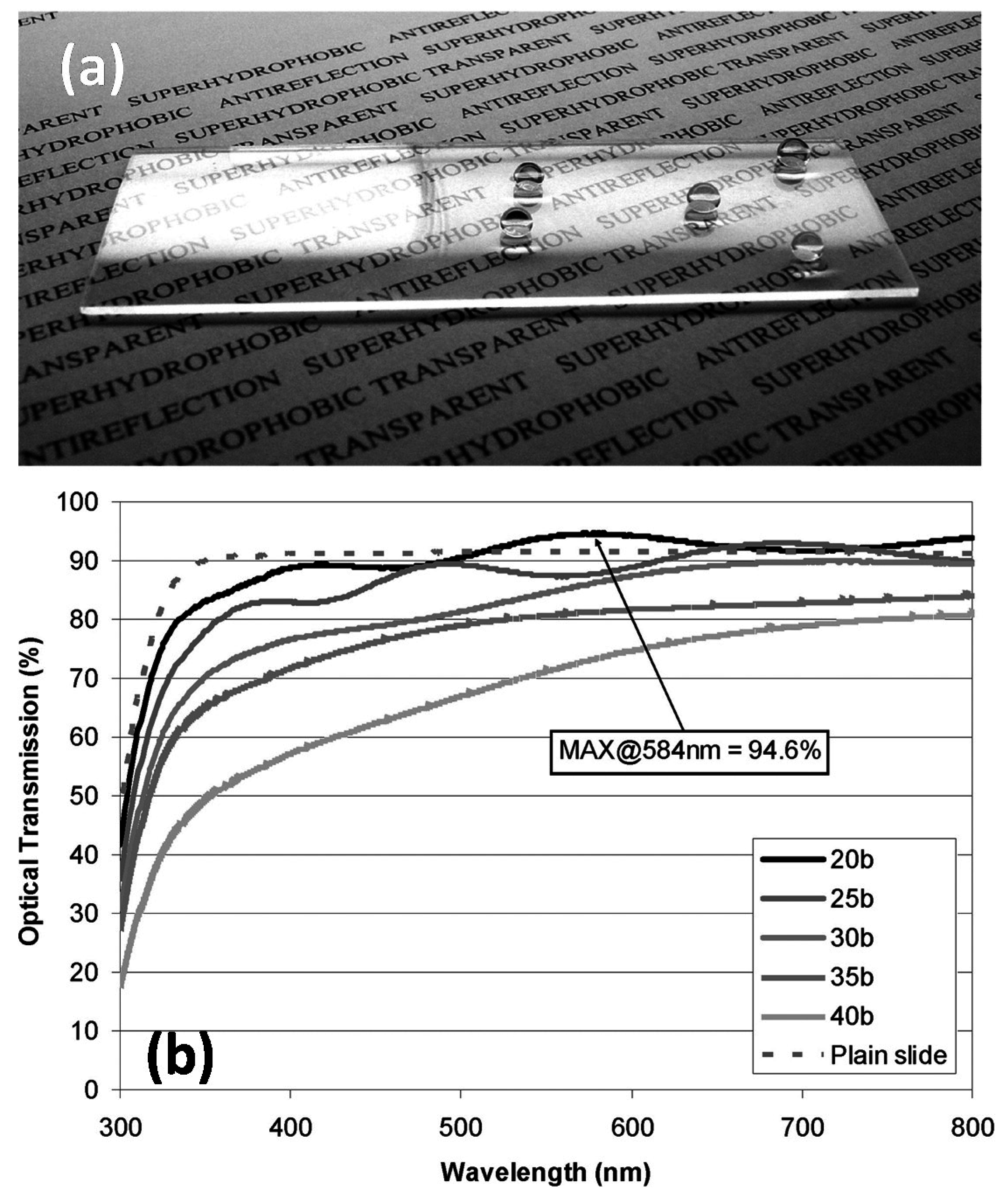 Coatings 07 00012 g001 550