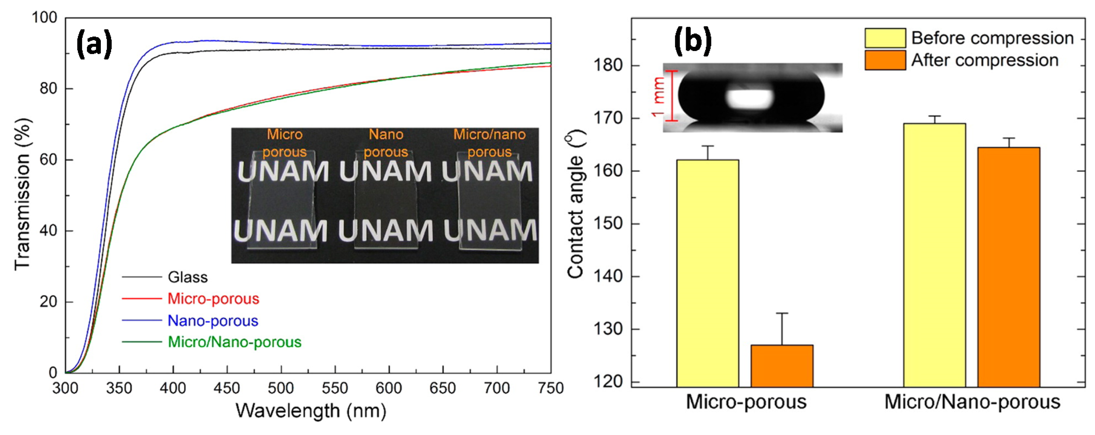 Coatings 07 00012 g003 550