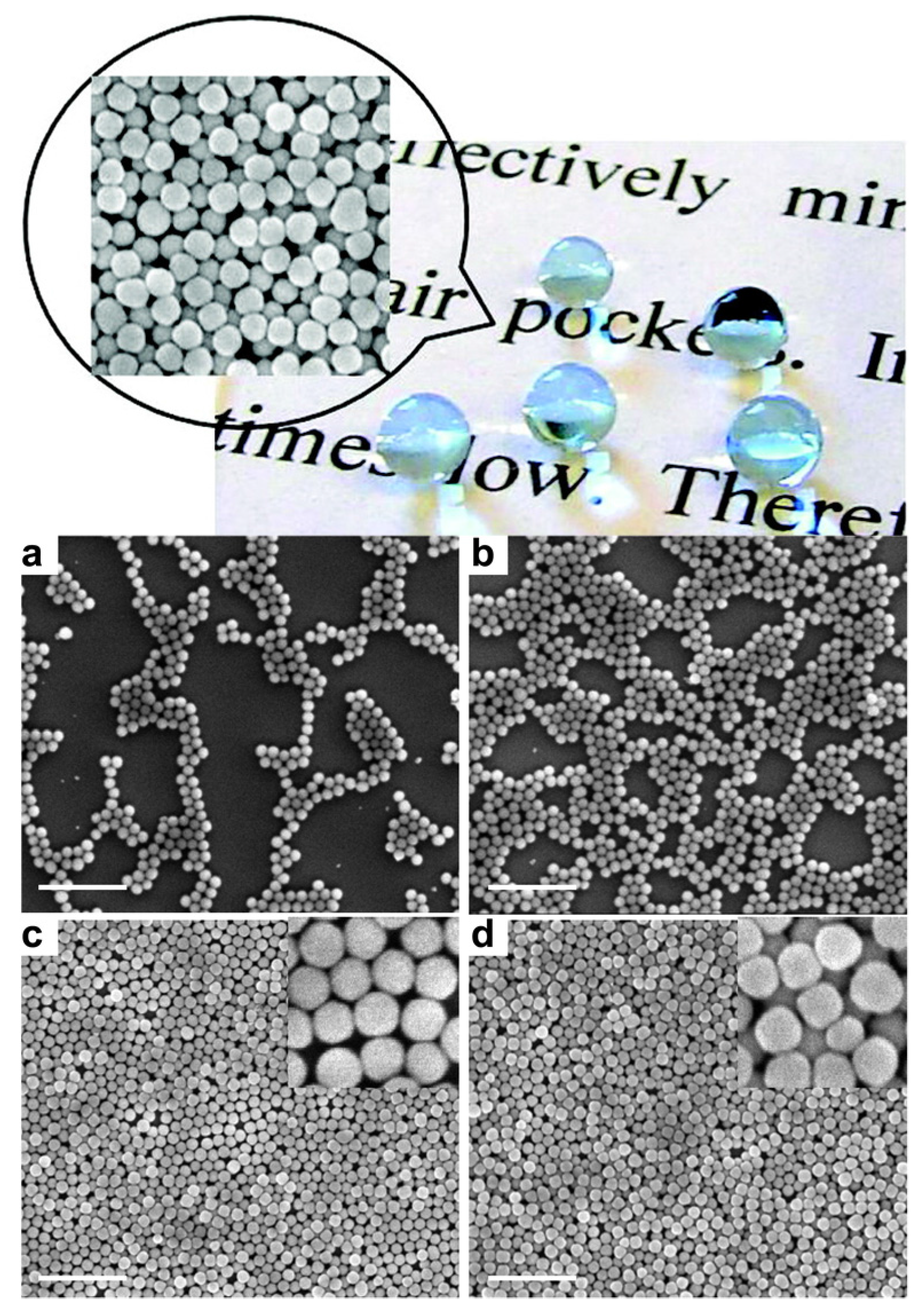 Coatings 07 00012 g004 550