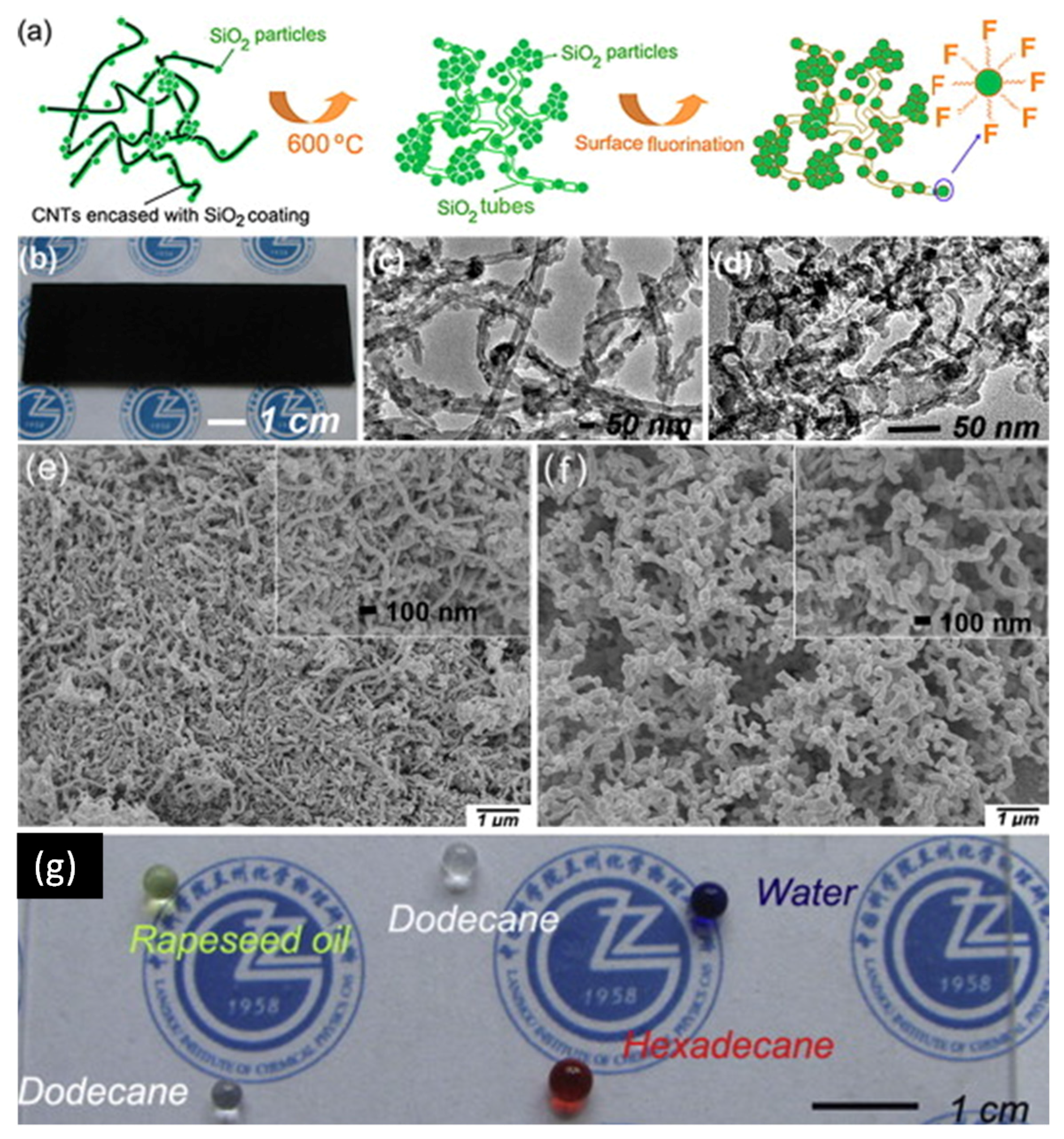 Coatings 07 00012 g005 550