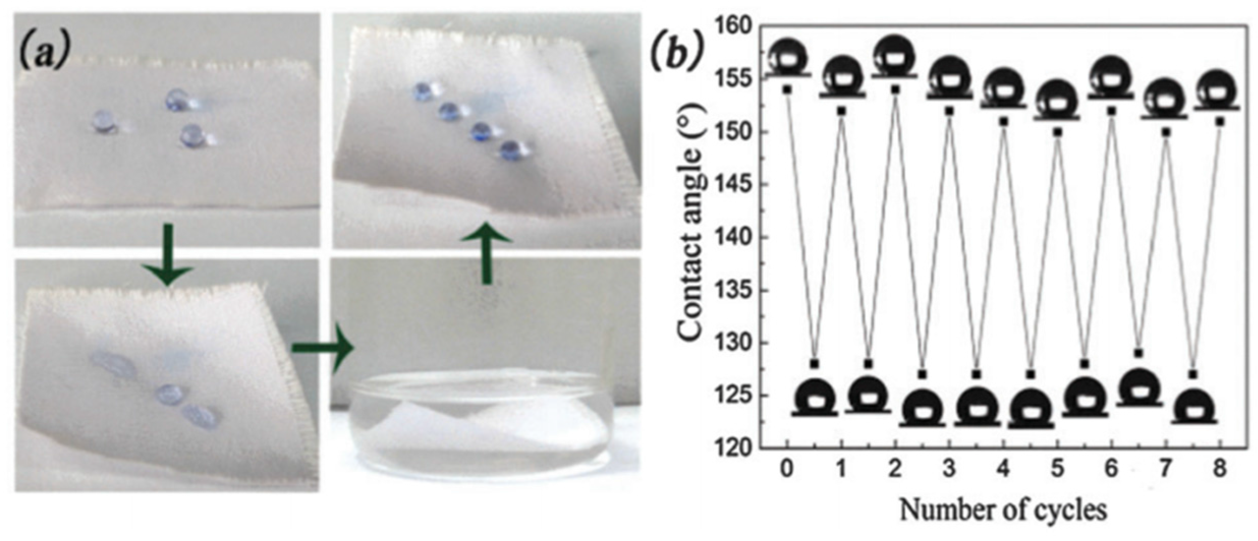 Coatings 07 00012 g009 550