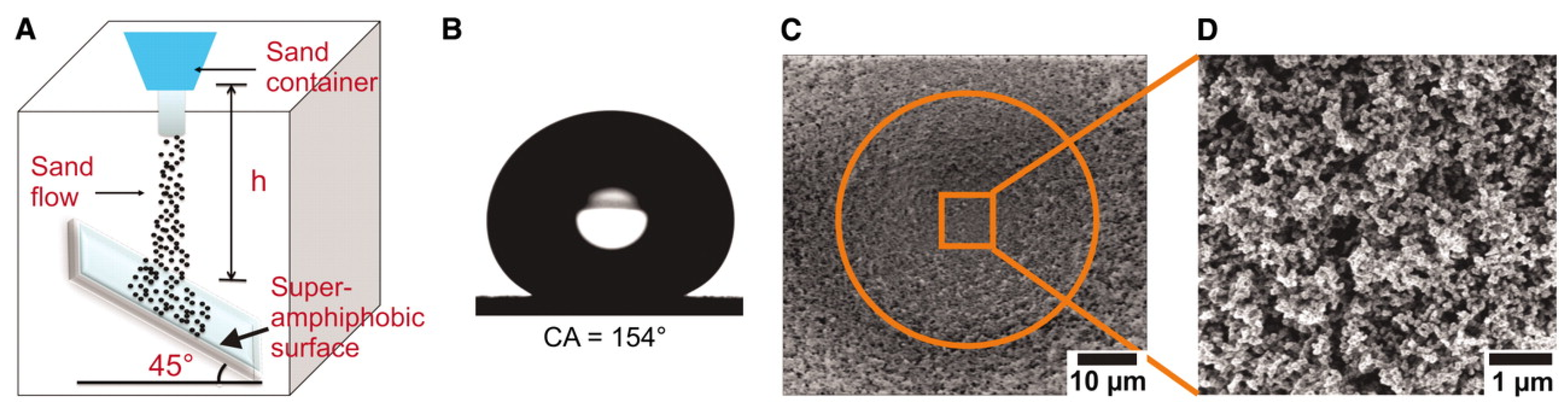 Coatings 07 00012 g010 550