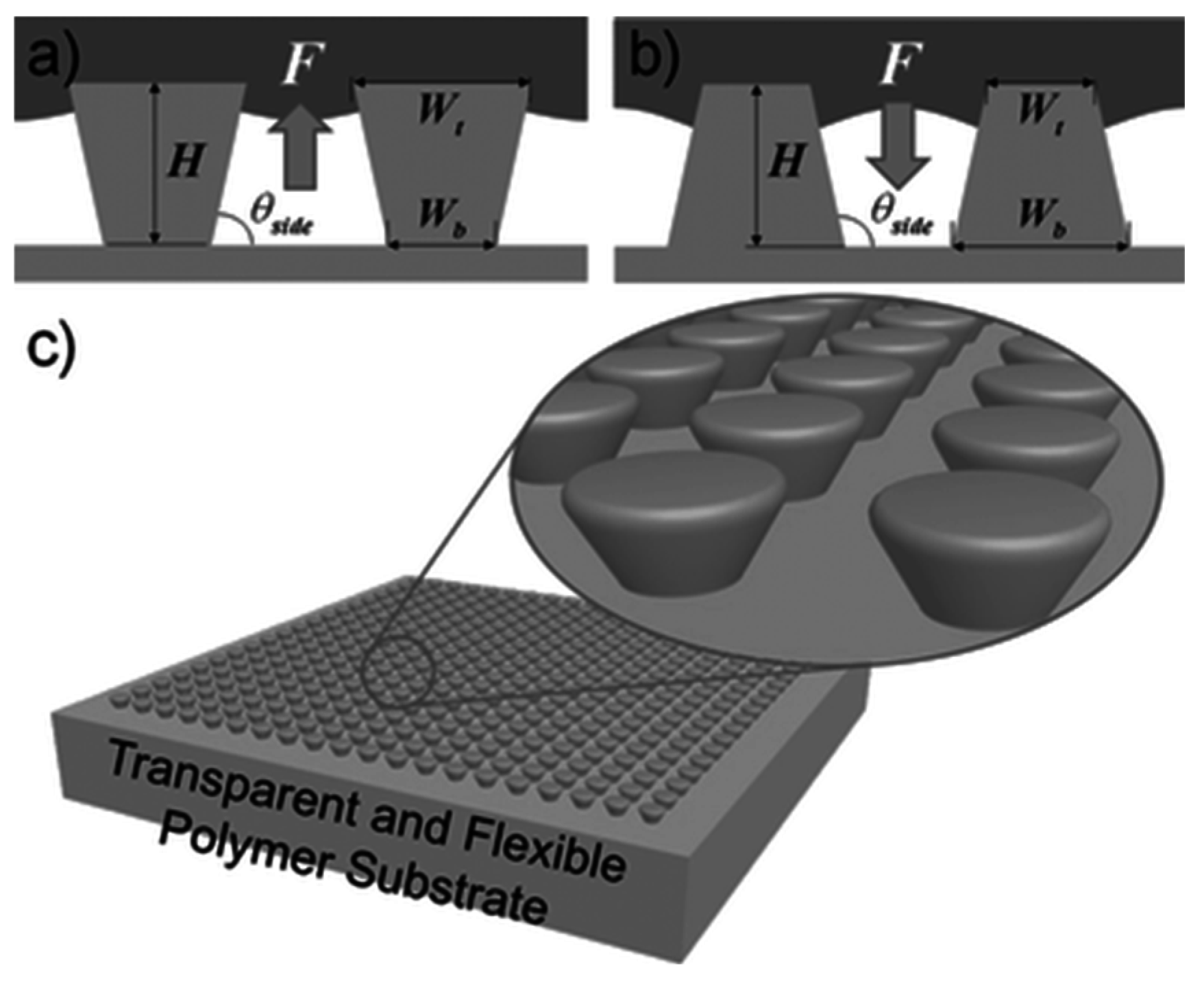 Coatings 07 00012 g013 550