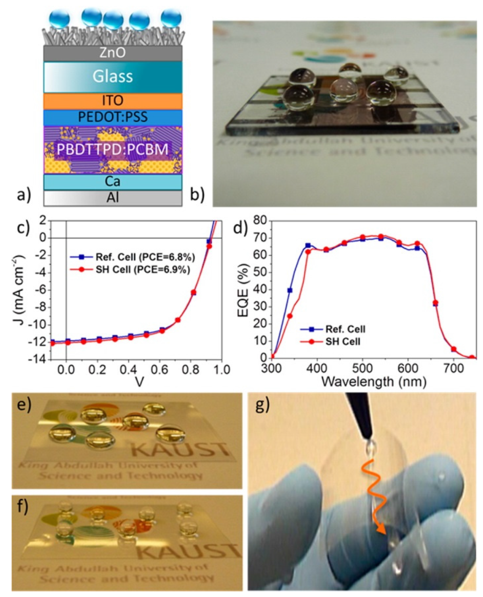 Coatings 07 00012 g015 550