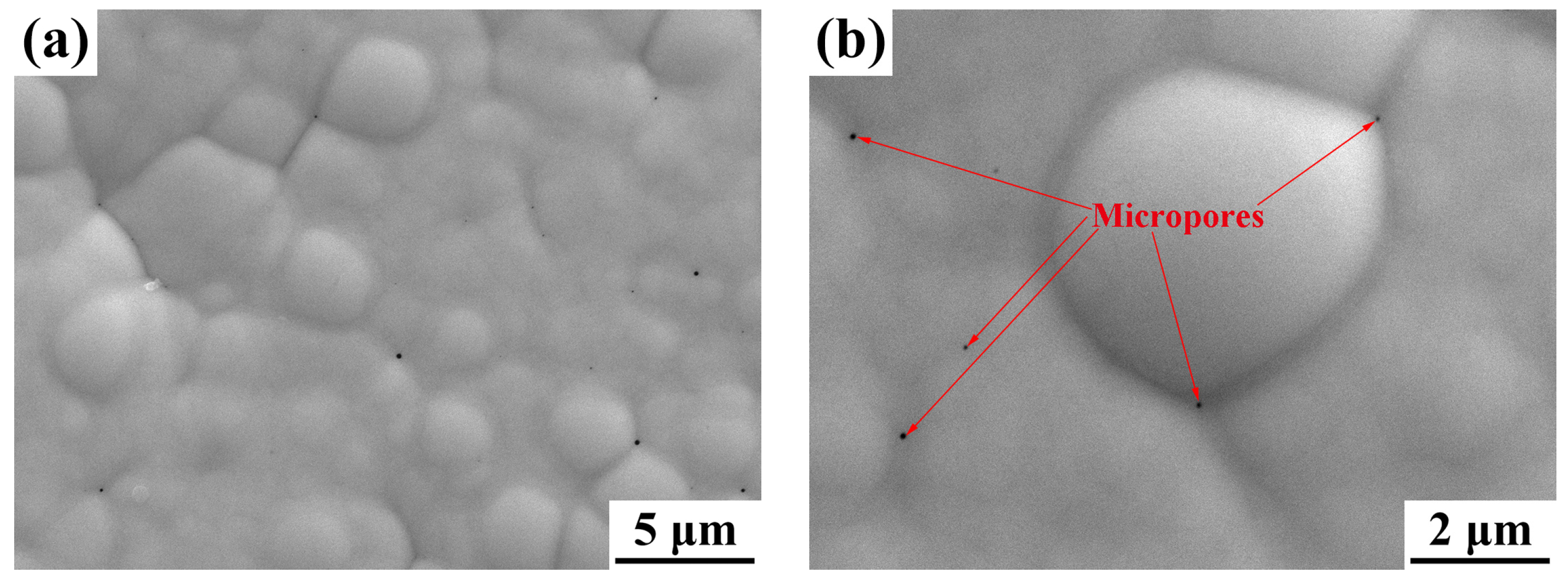 Coatings 07 00016 g001