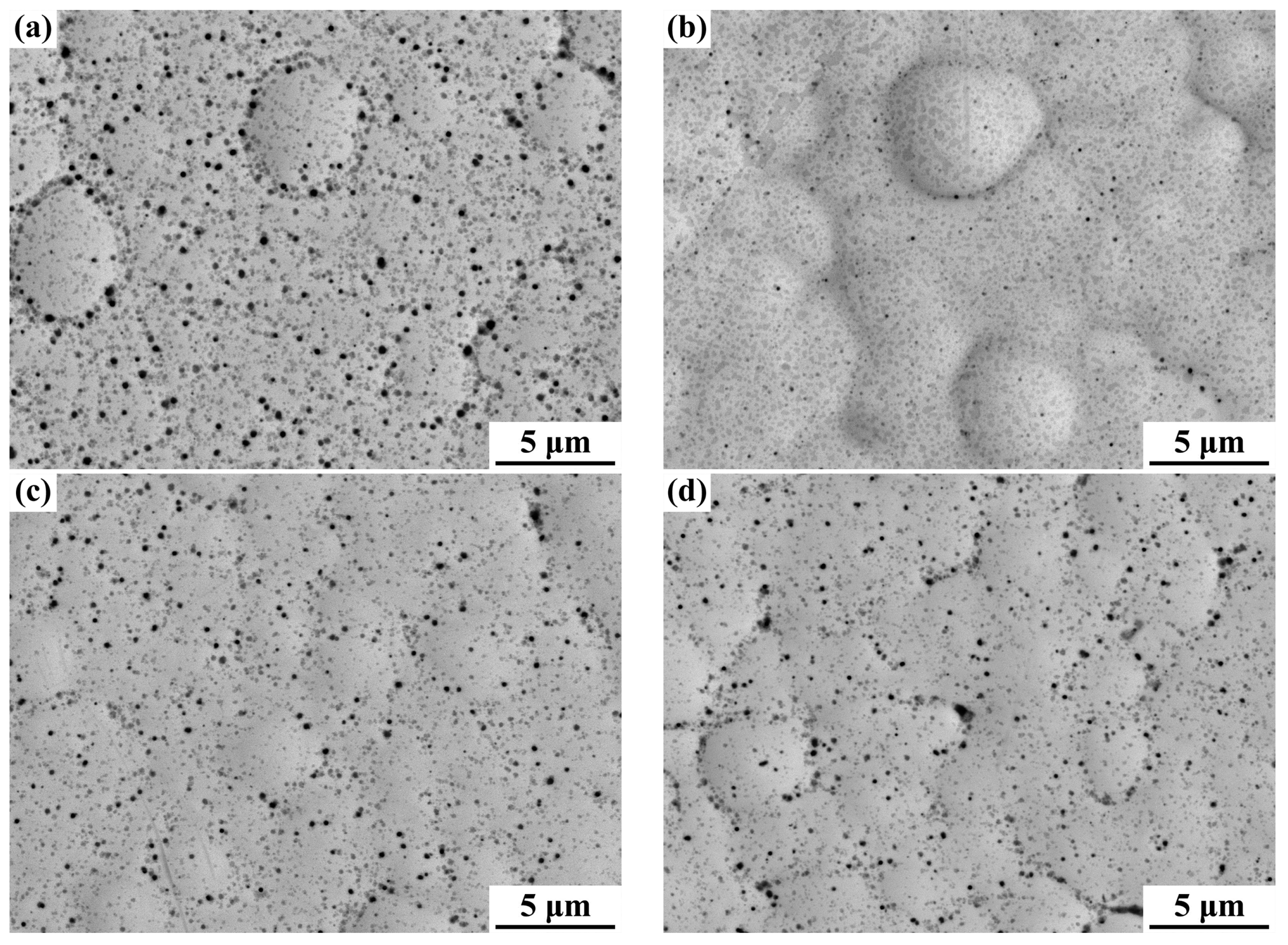 Coatings 07 00016 g003
