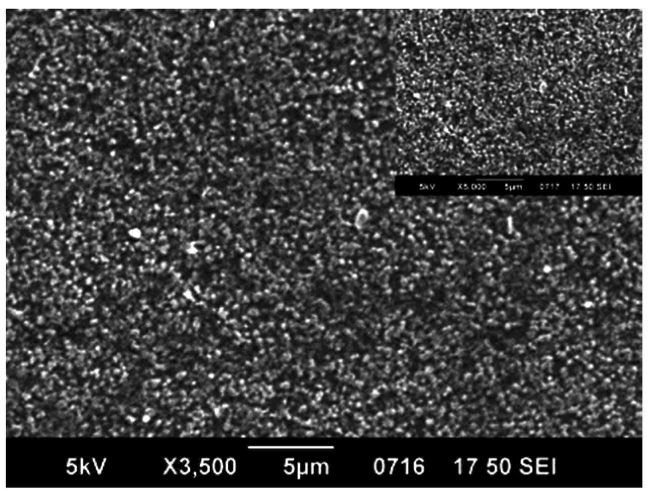 Coatings 07 00024 g005 550