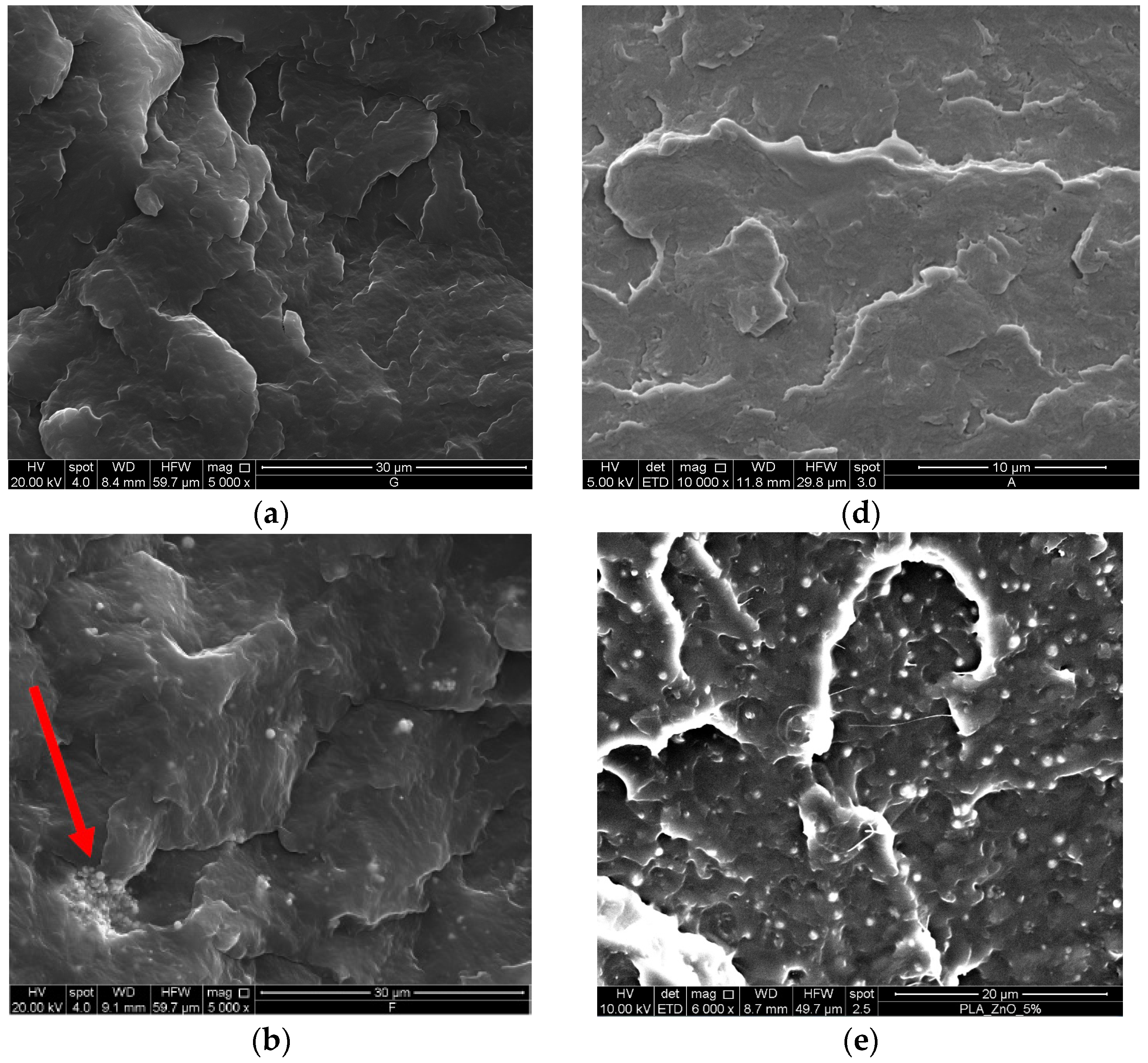 Coatings 07 00029 g001a