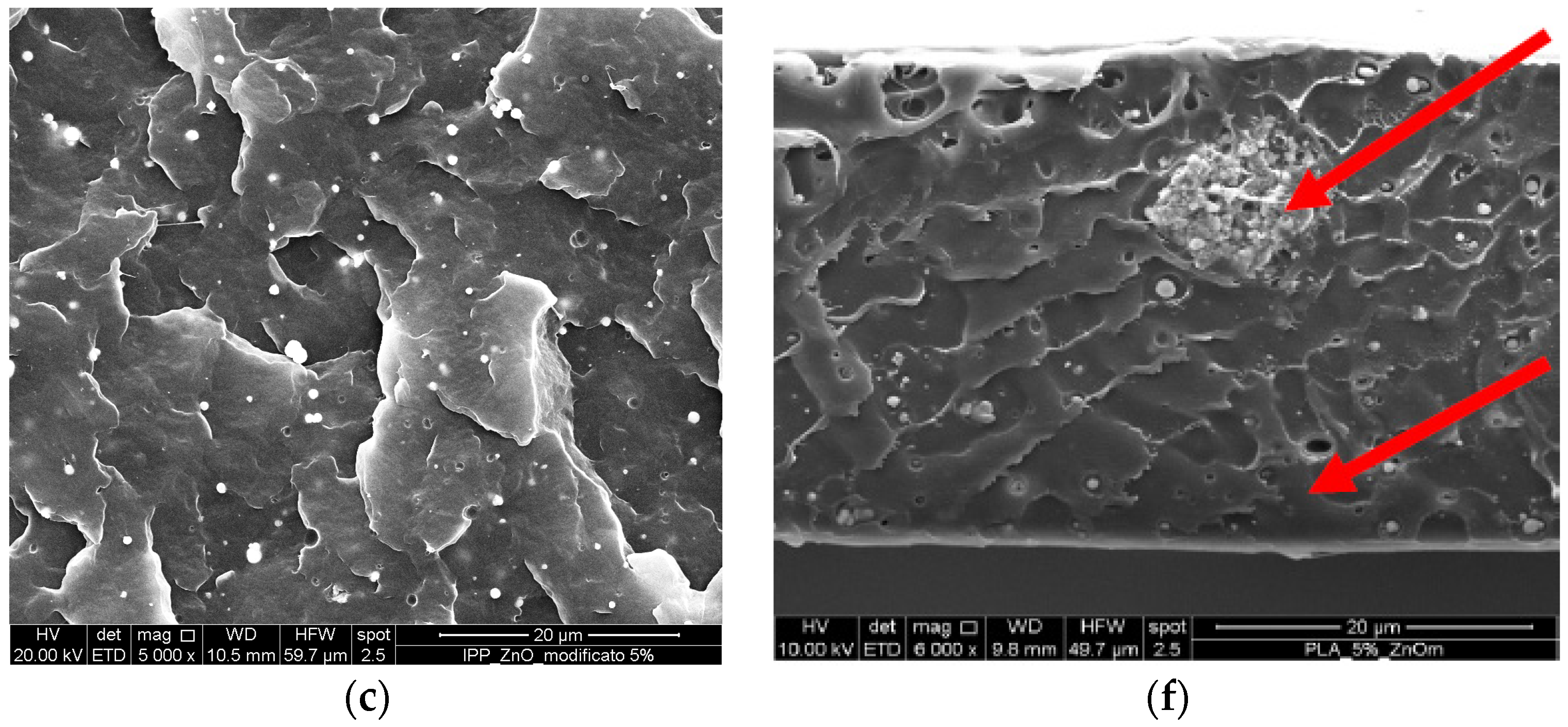 Coatings 07 00029 g001b