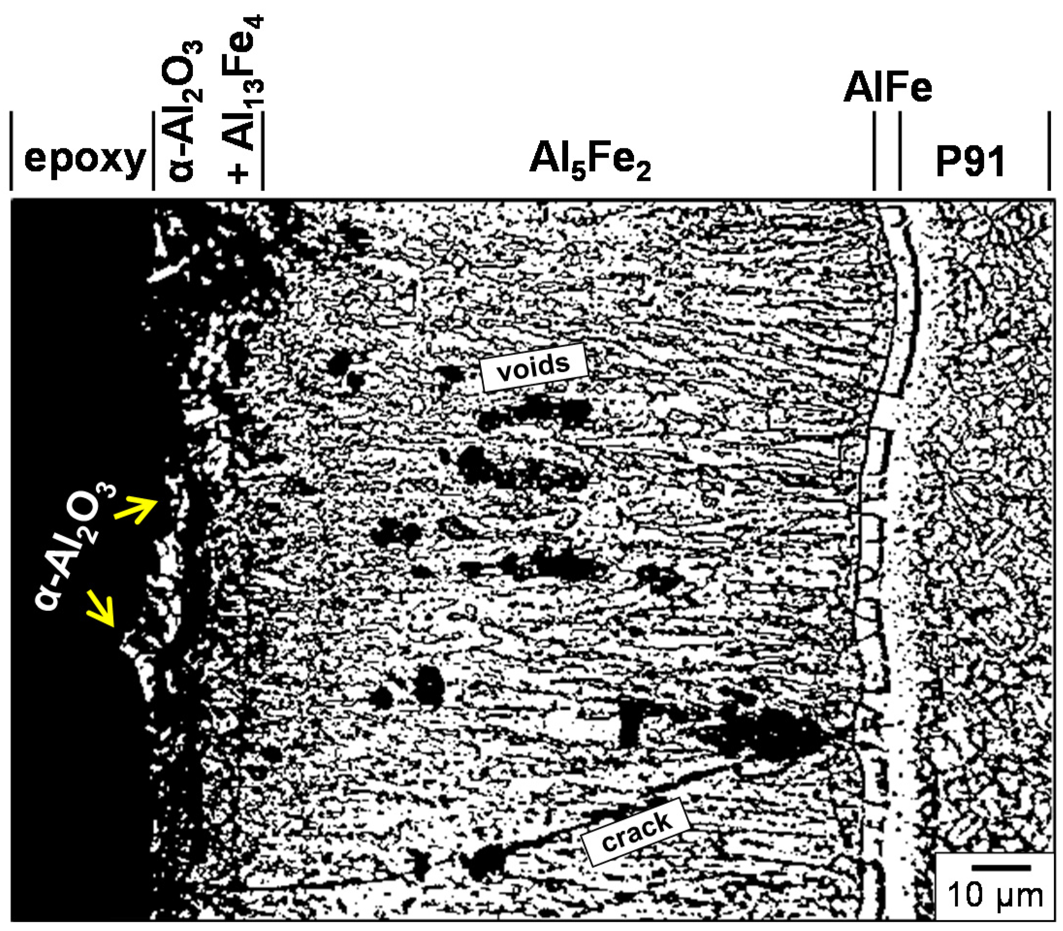 Coatings 07 00031 g004 550