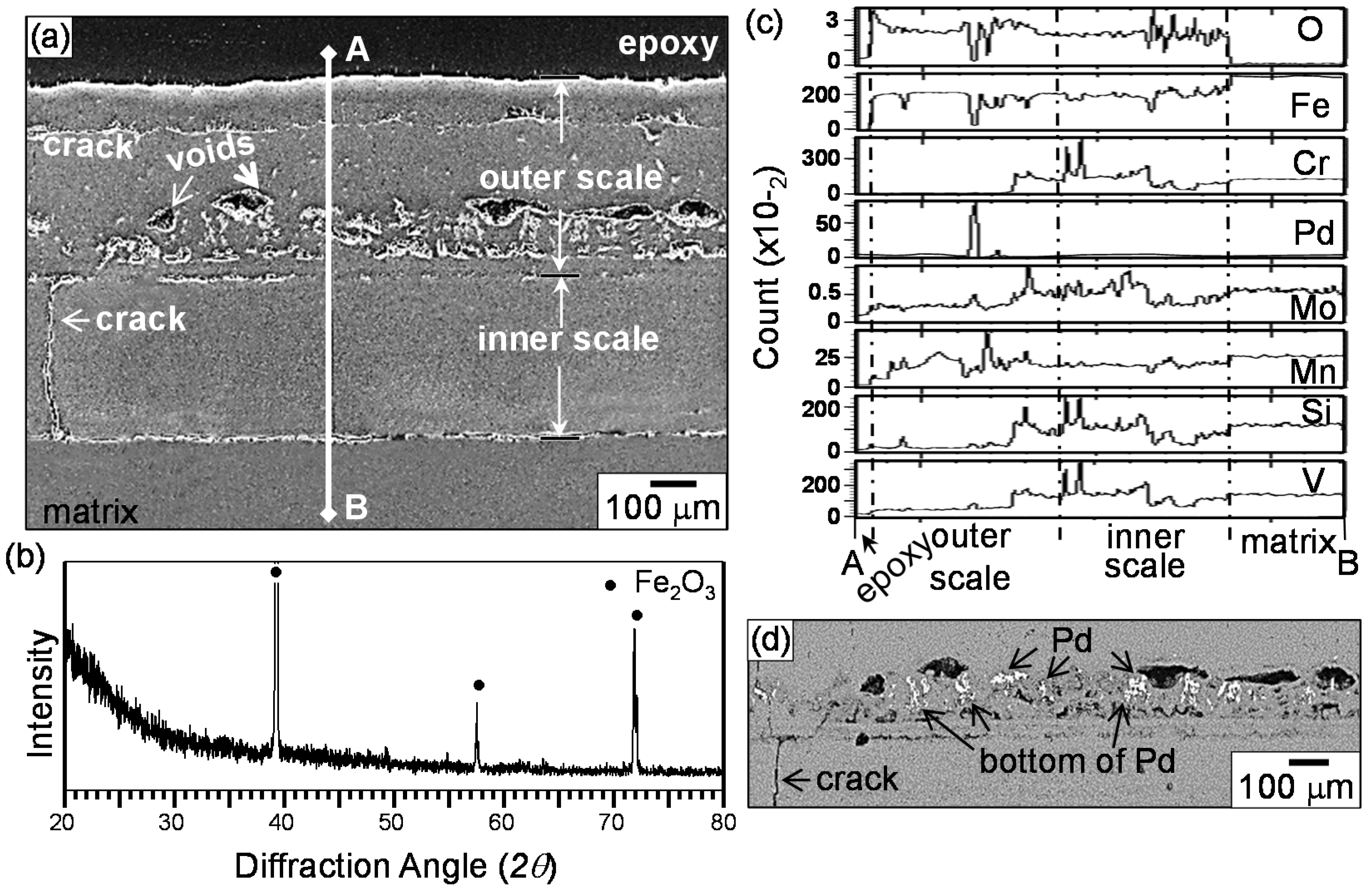 Coatings 07 00031 g008 550